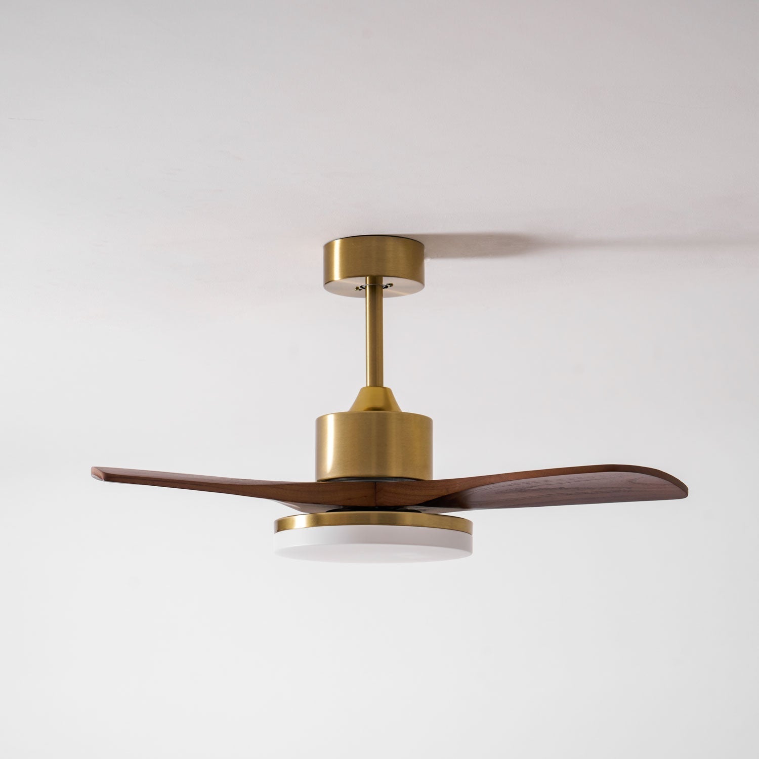 Virova Ceiling Fan Light
