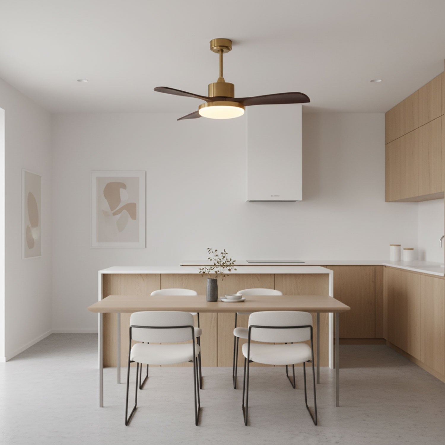 Virova Ceiling Fan Light