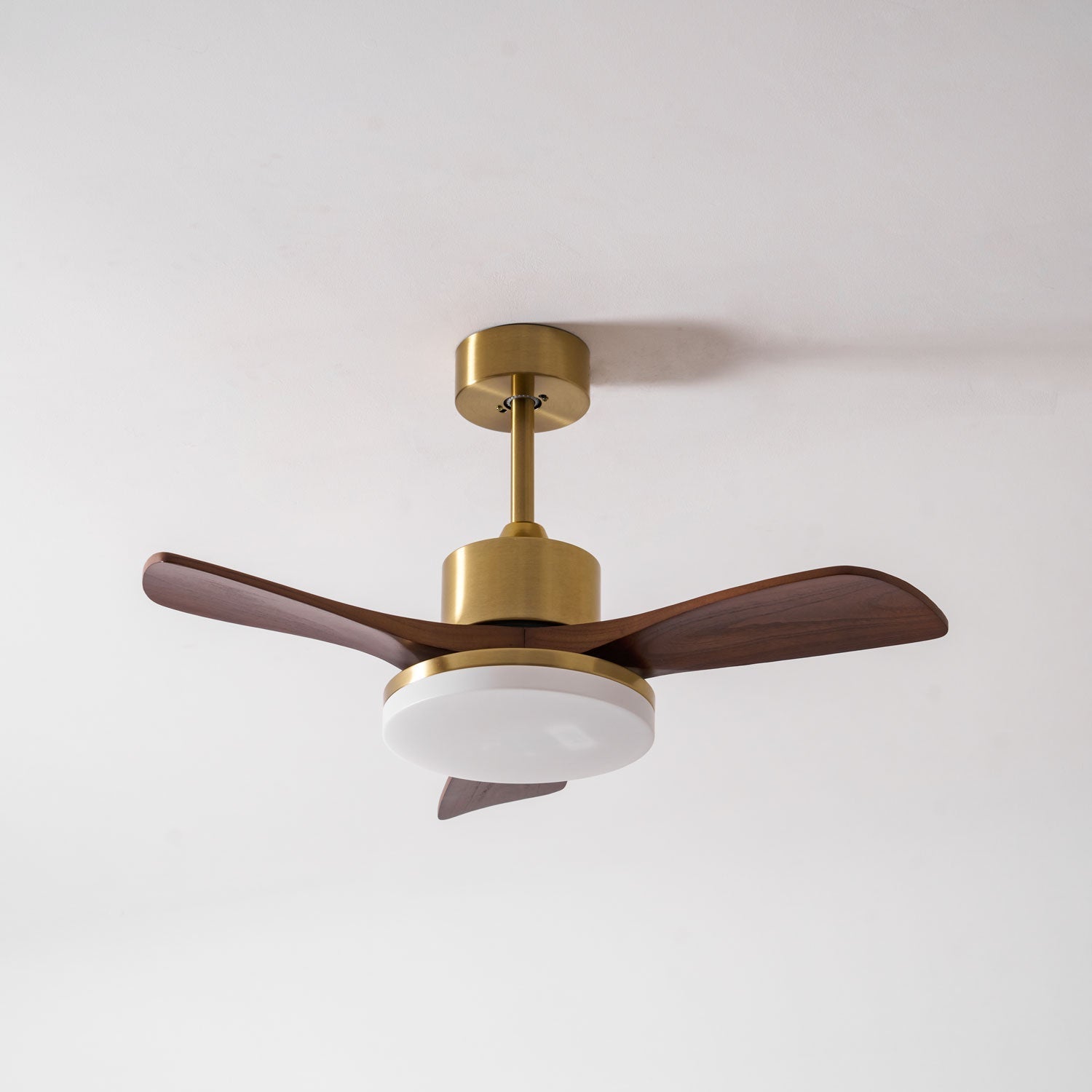 Virova Ceiling Fan Light