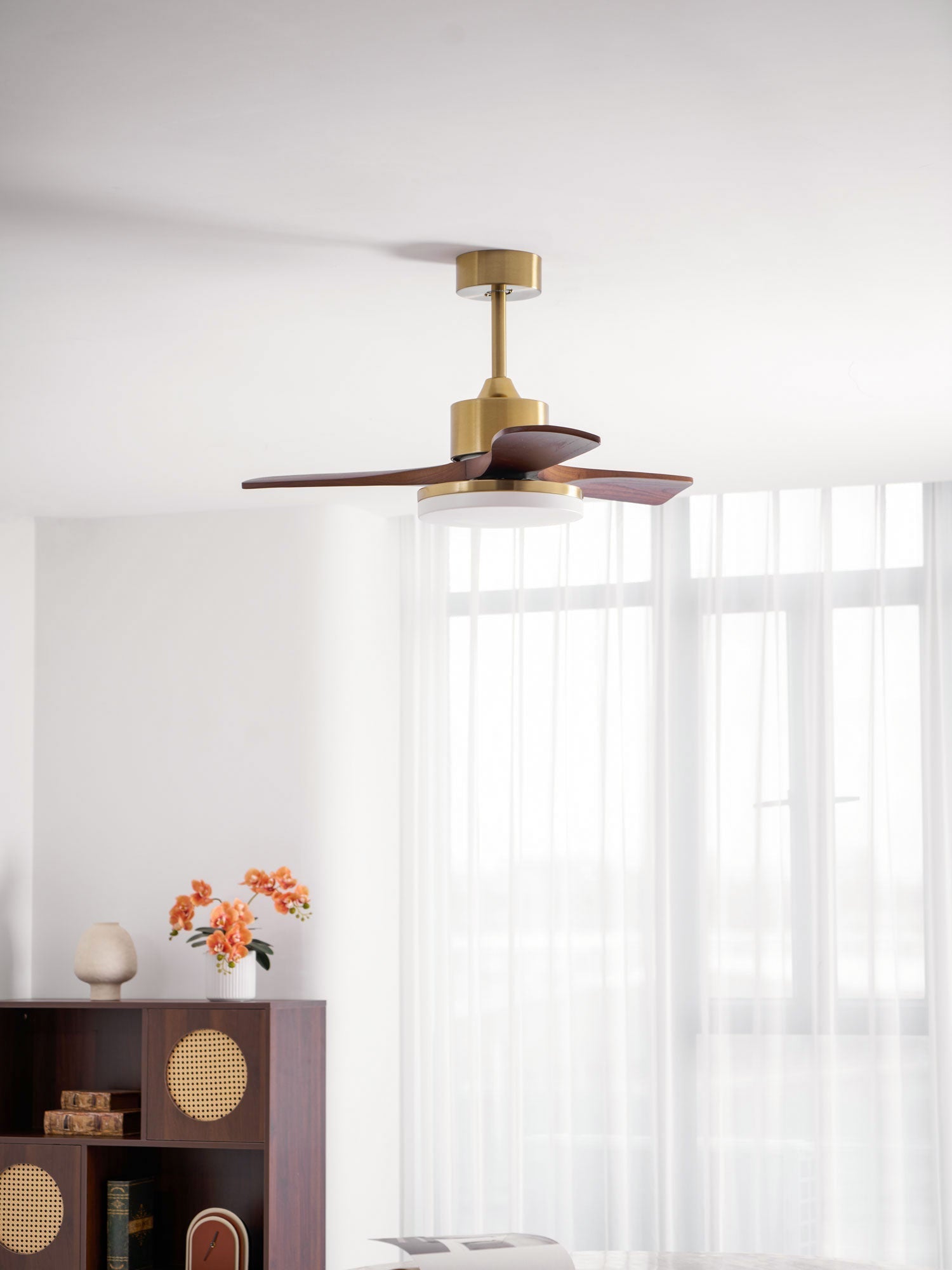 Virova Ceiling Fan Light