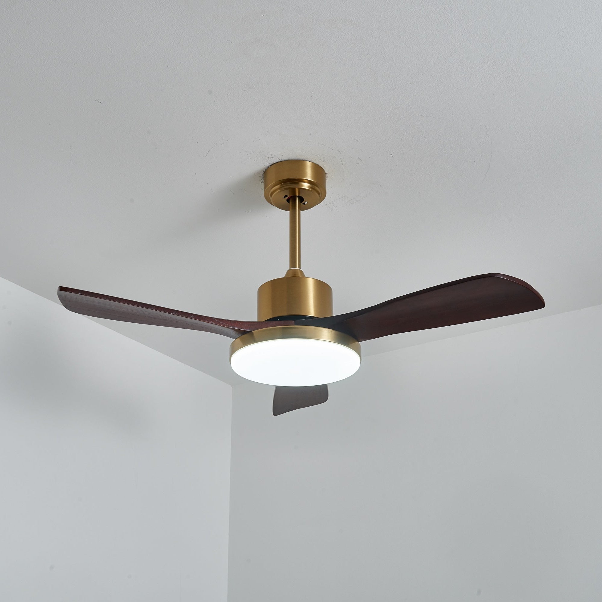 Virova Ceiling Fan Light