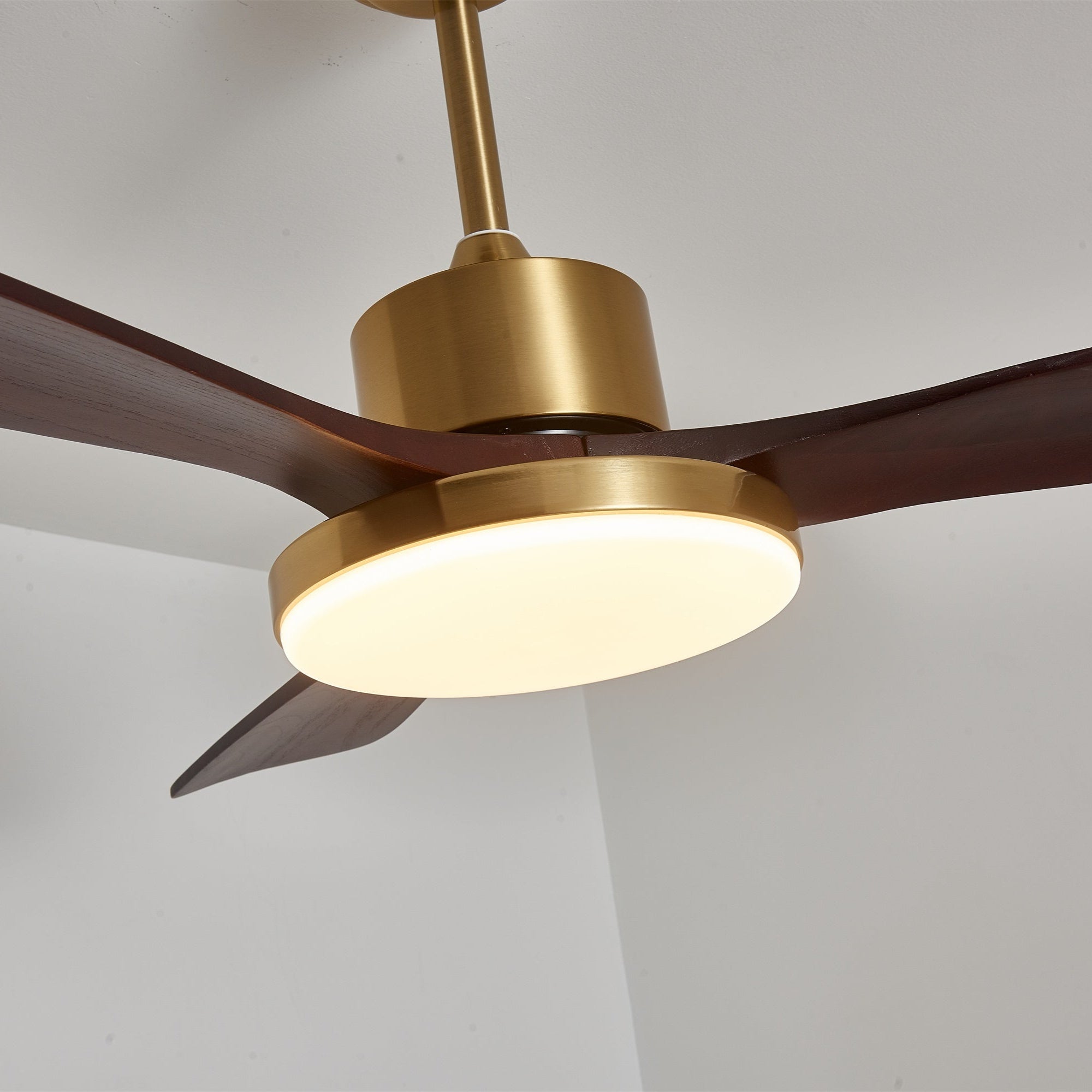 Virova Ceiling Fan Light