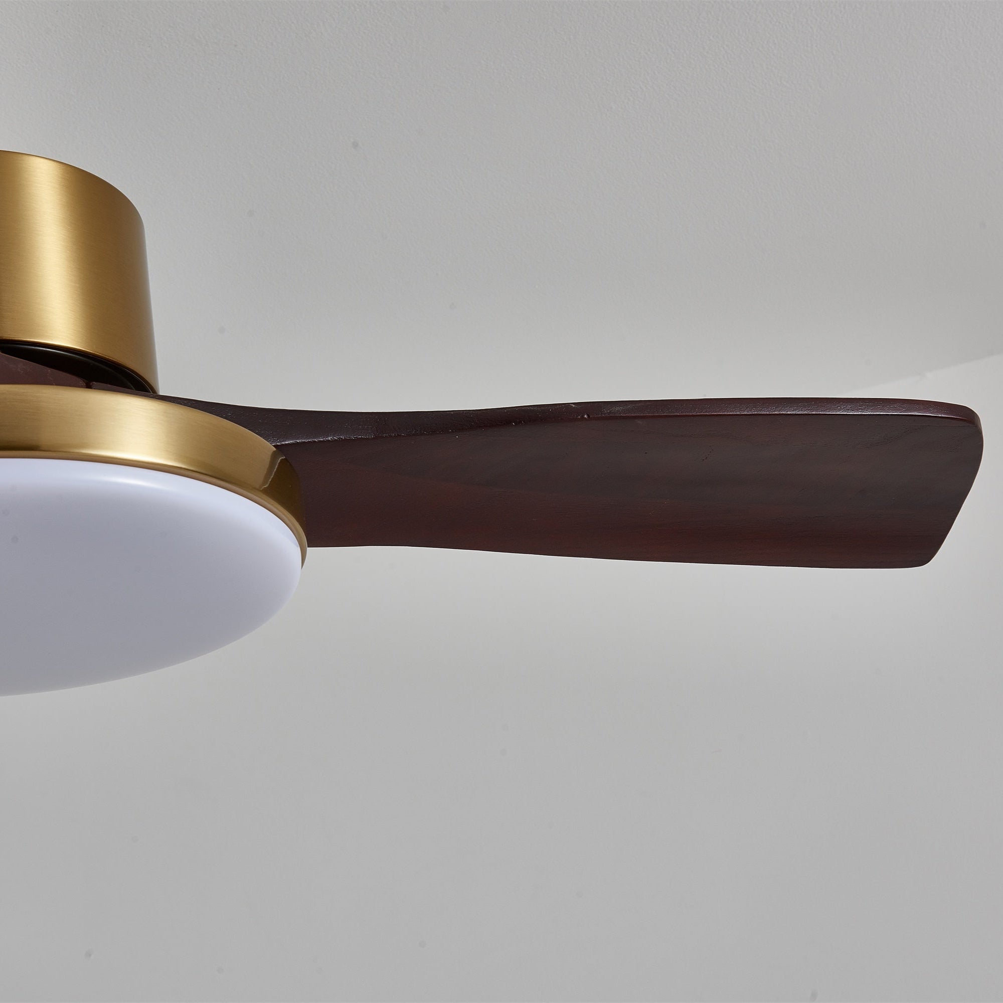 Virova Ceiling Fan Light