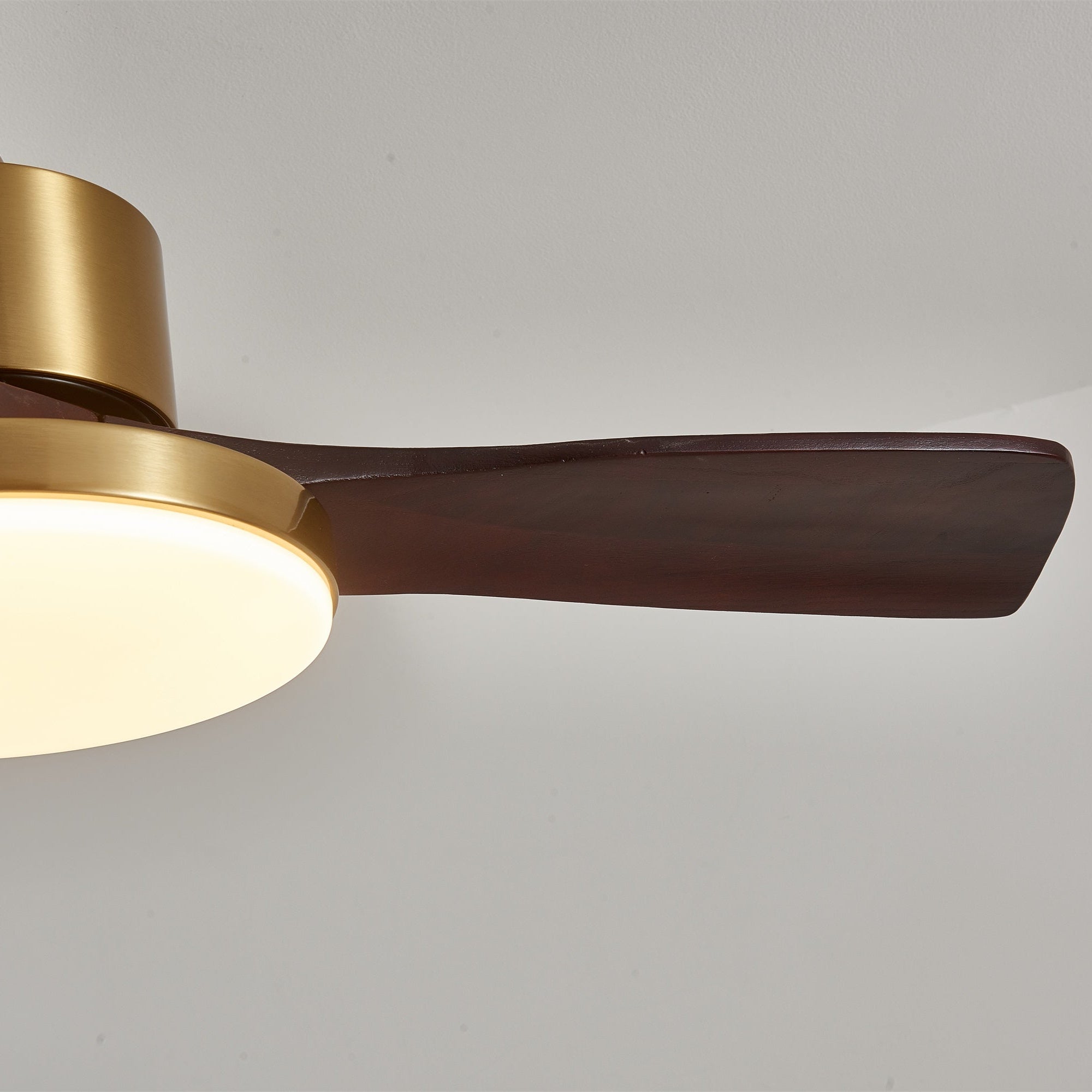 Virova Ceiling Fan Light