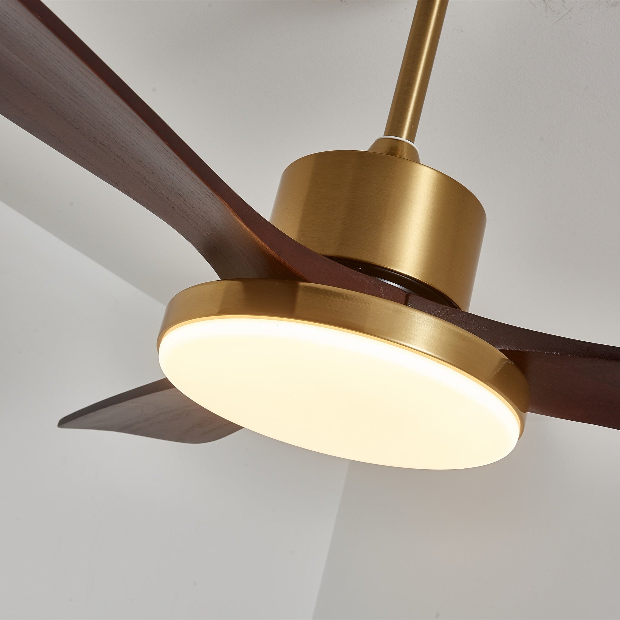 Virova Ceiling Fan Light