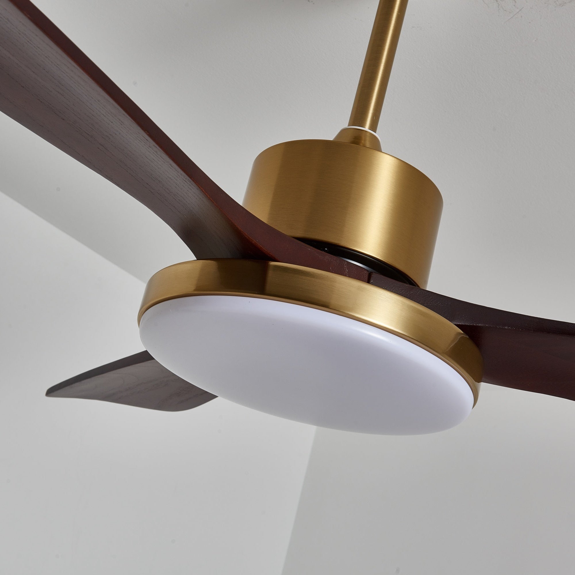 Virova Ceiling Fan Light