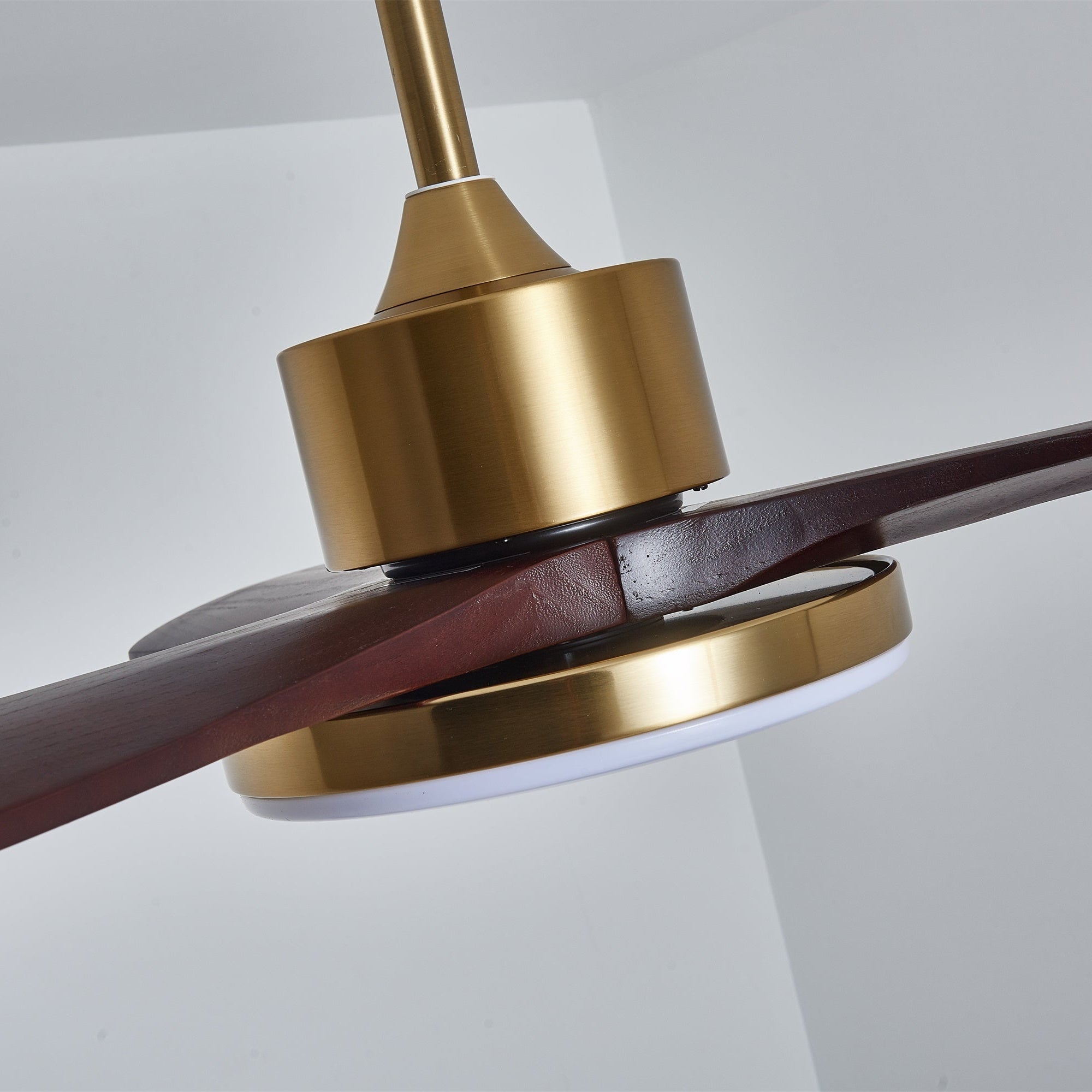 Virova Ceiling Fan Light