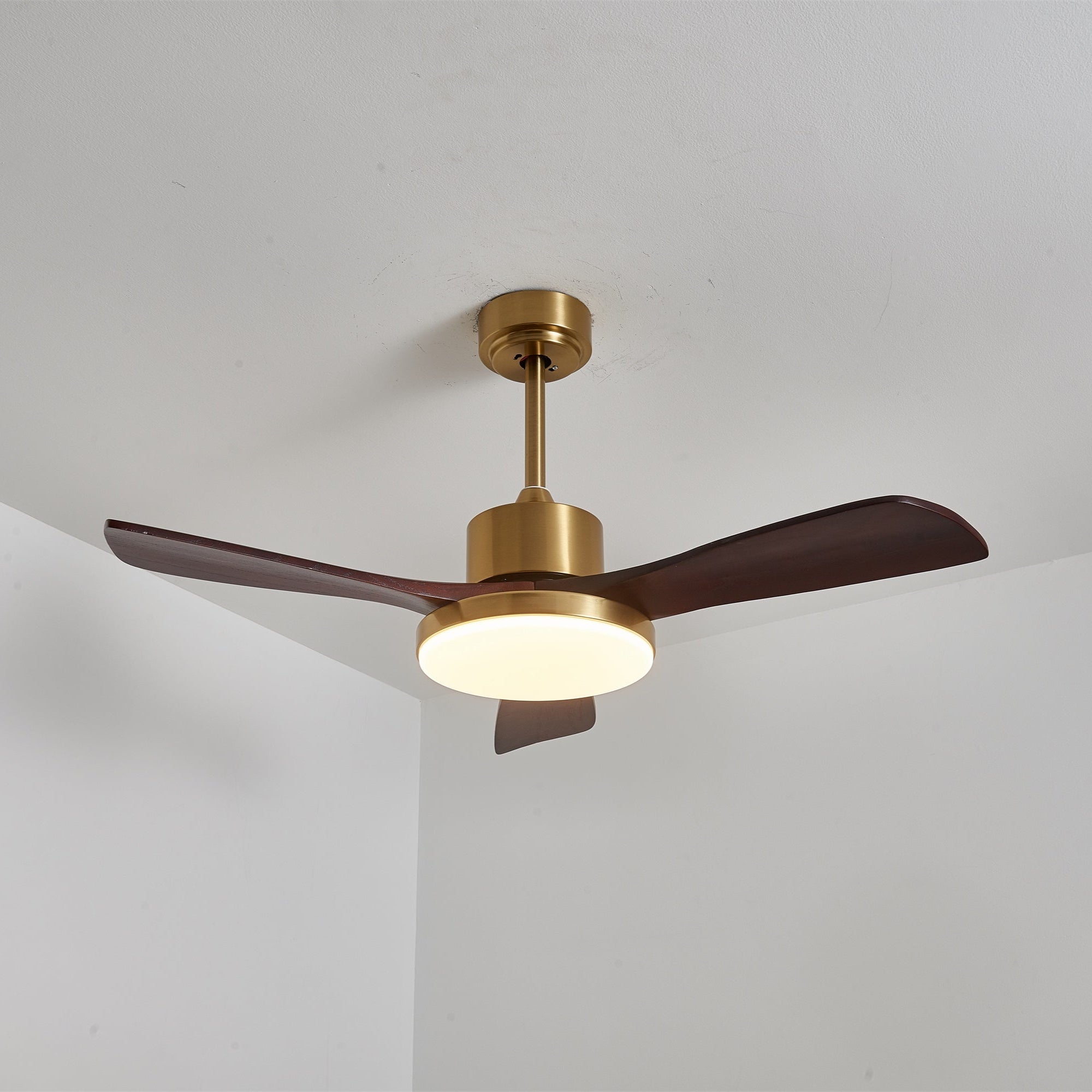 Virova Ceiling Fan Light