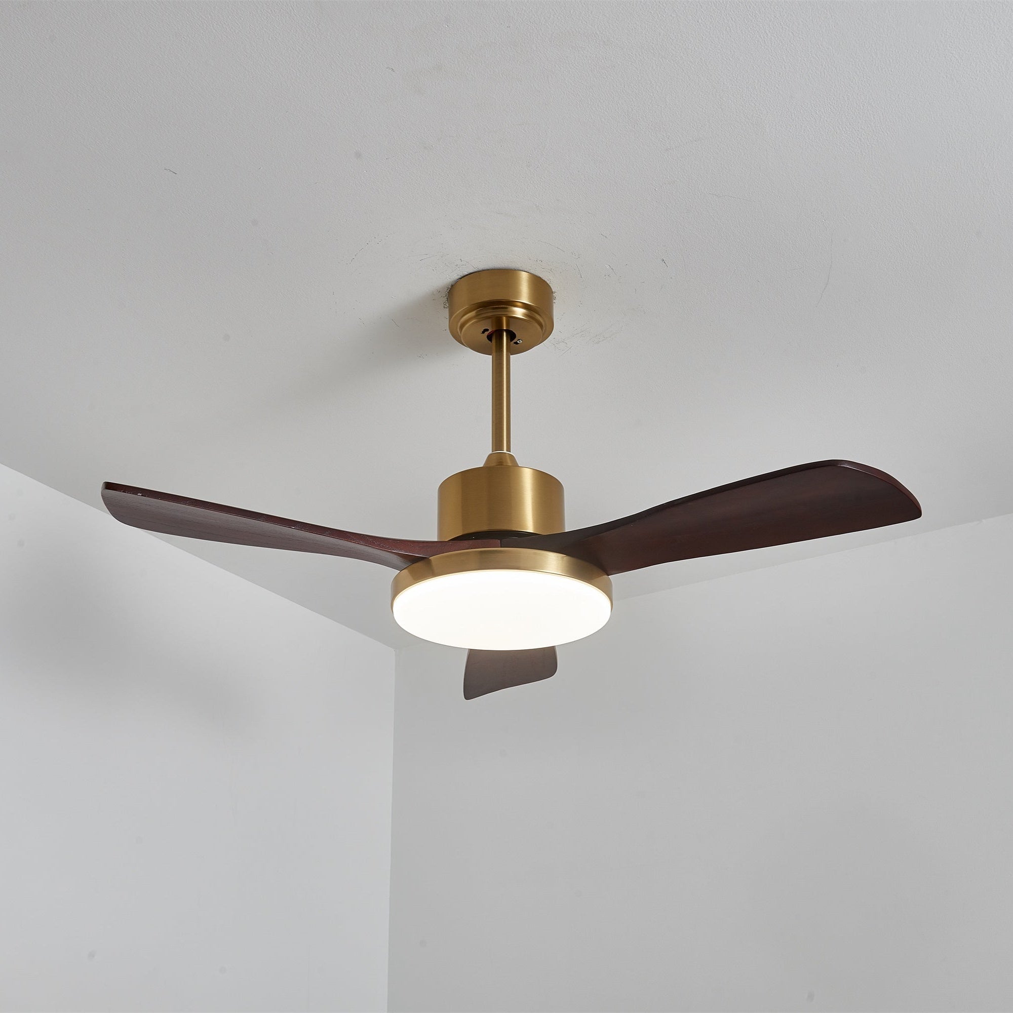 Virova Ceiling Fan Light