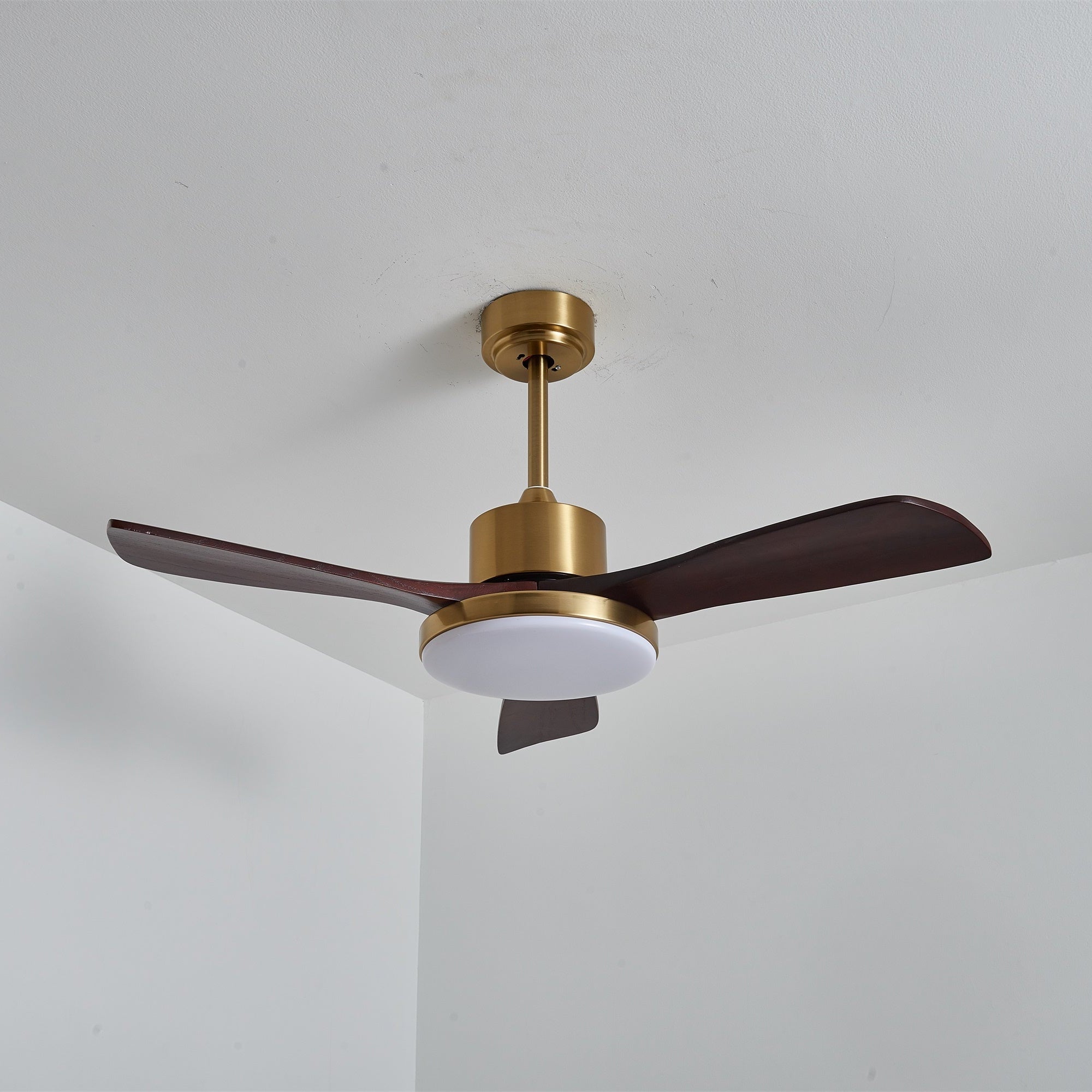 Virova Ceiling Fan Light