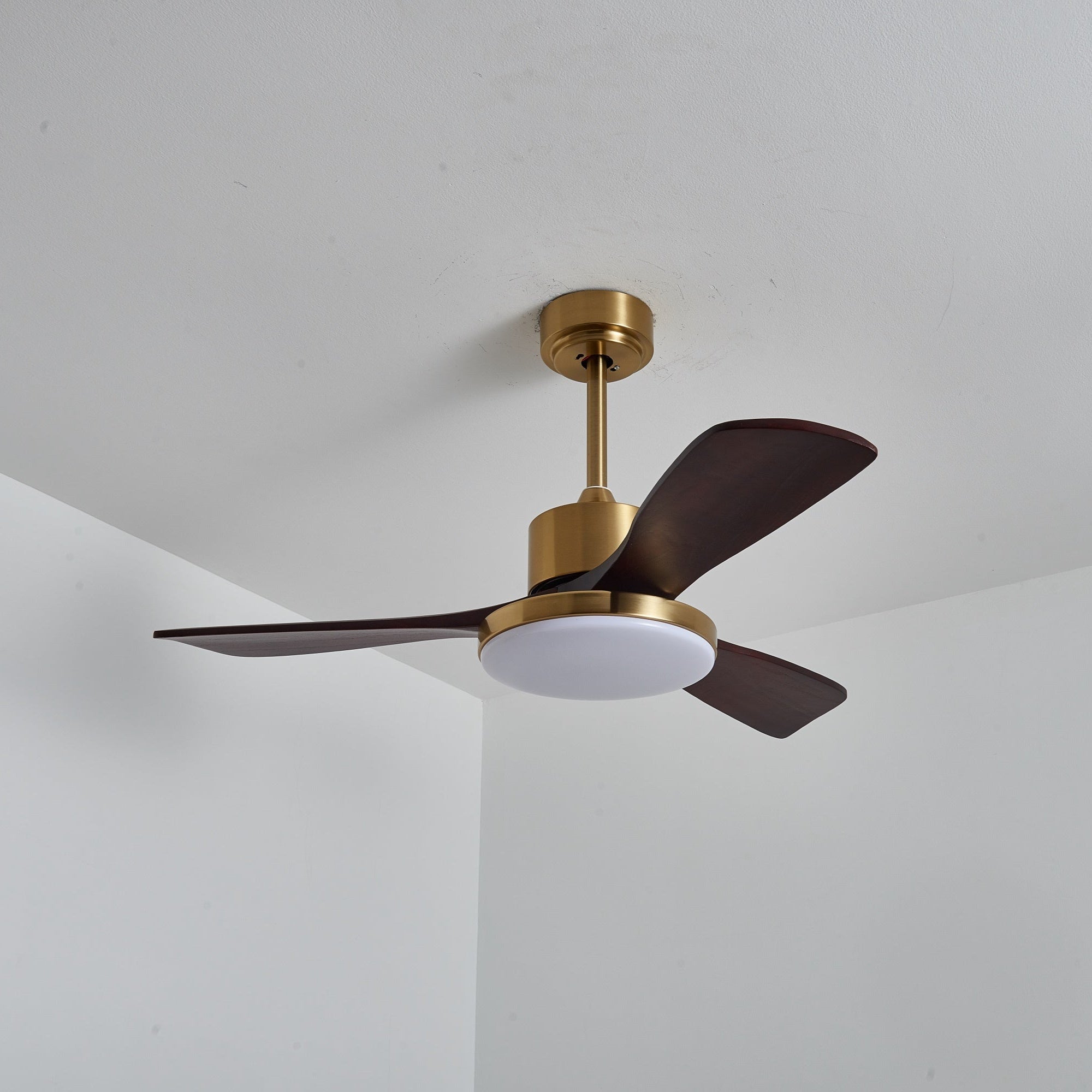 Virova Ceiling Fan Light