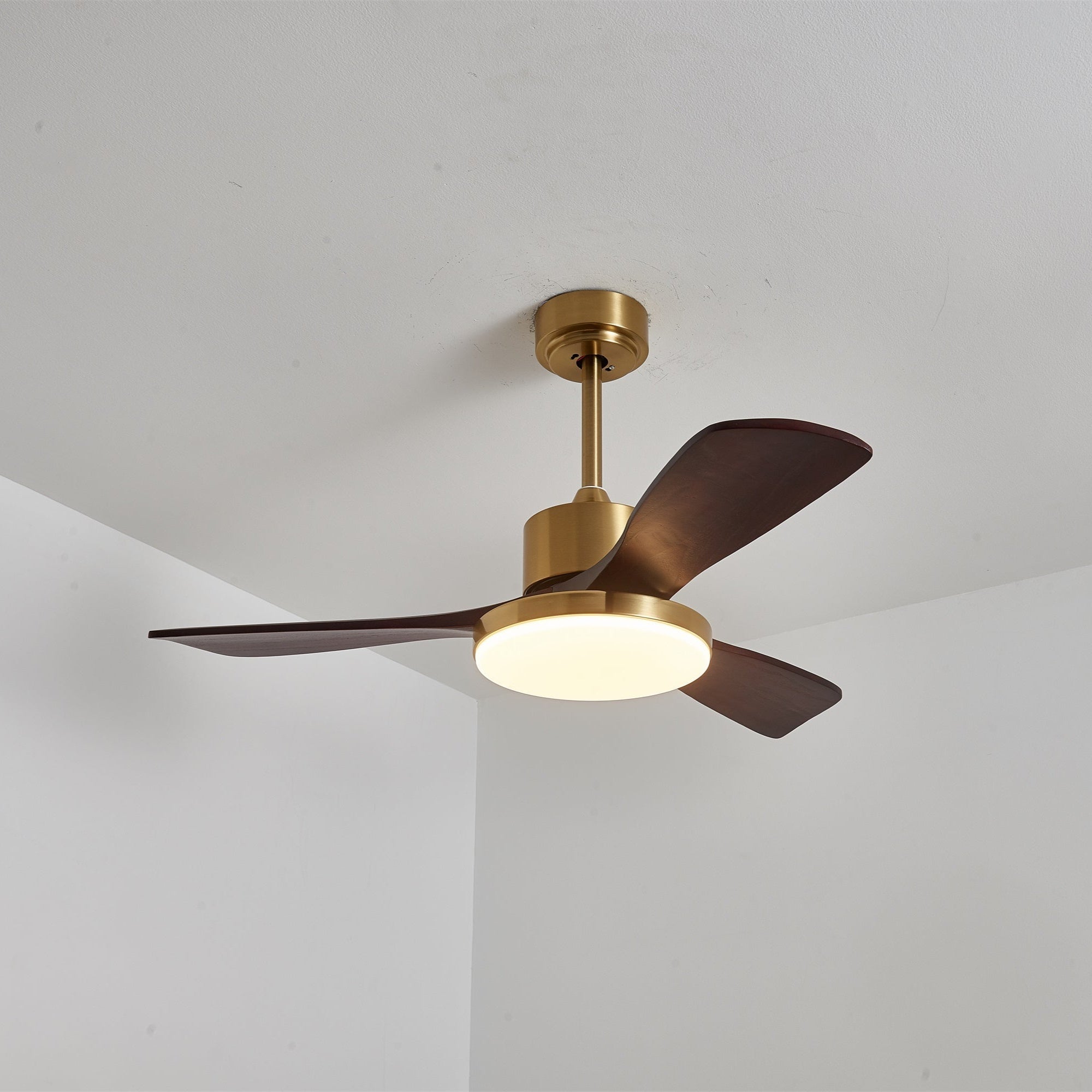 Virova Ceiling Fan Light