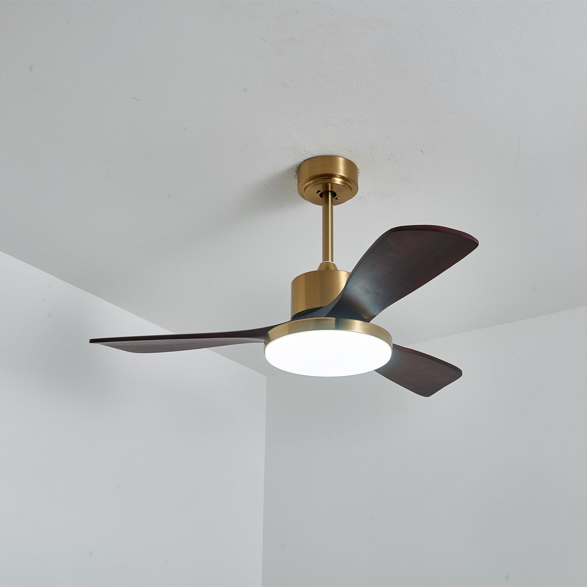 Virova Ceiling Fan Light