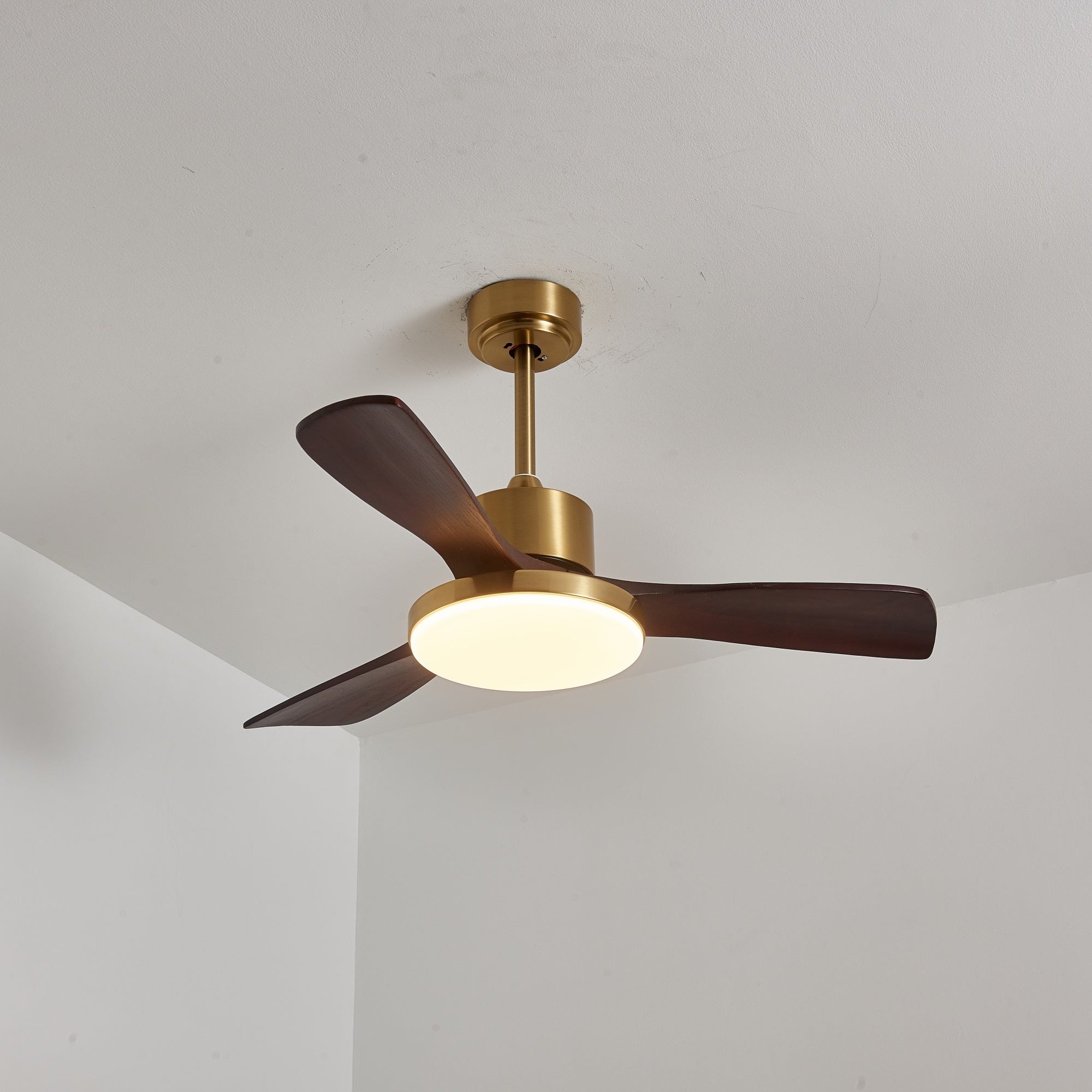Virova Ceiling Fan Light