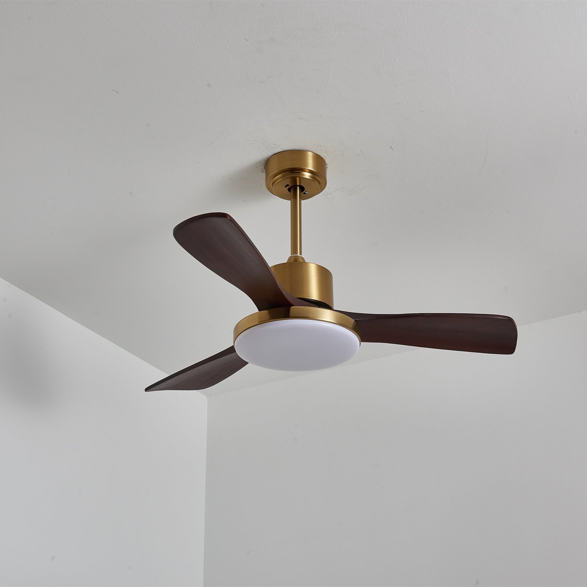 Virova Ceiling Fan Light