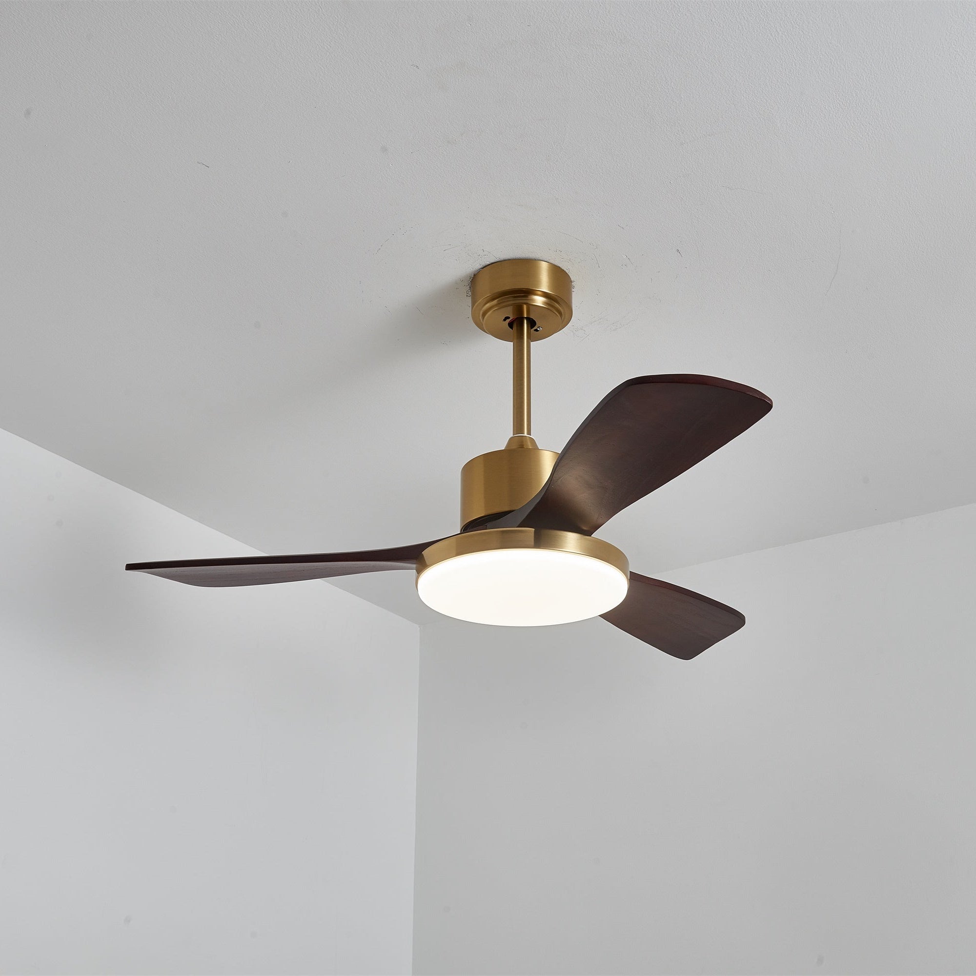 Virova Ceiling Fan Light