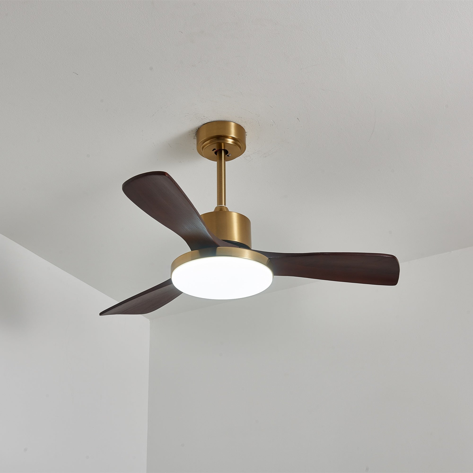Virova Ceiling Fan Light
