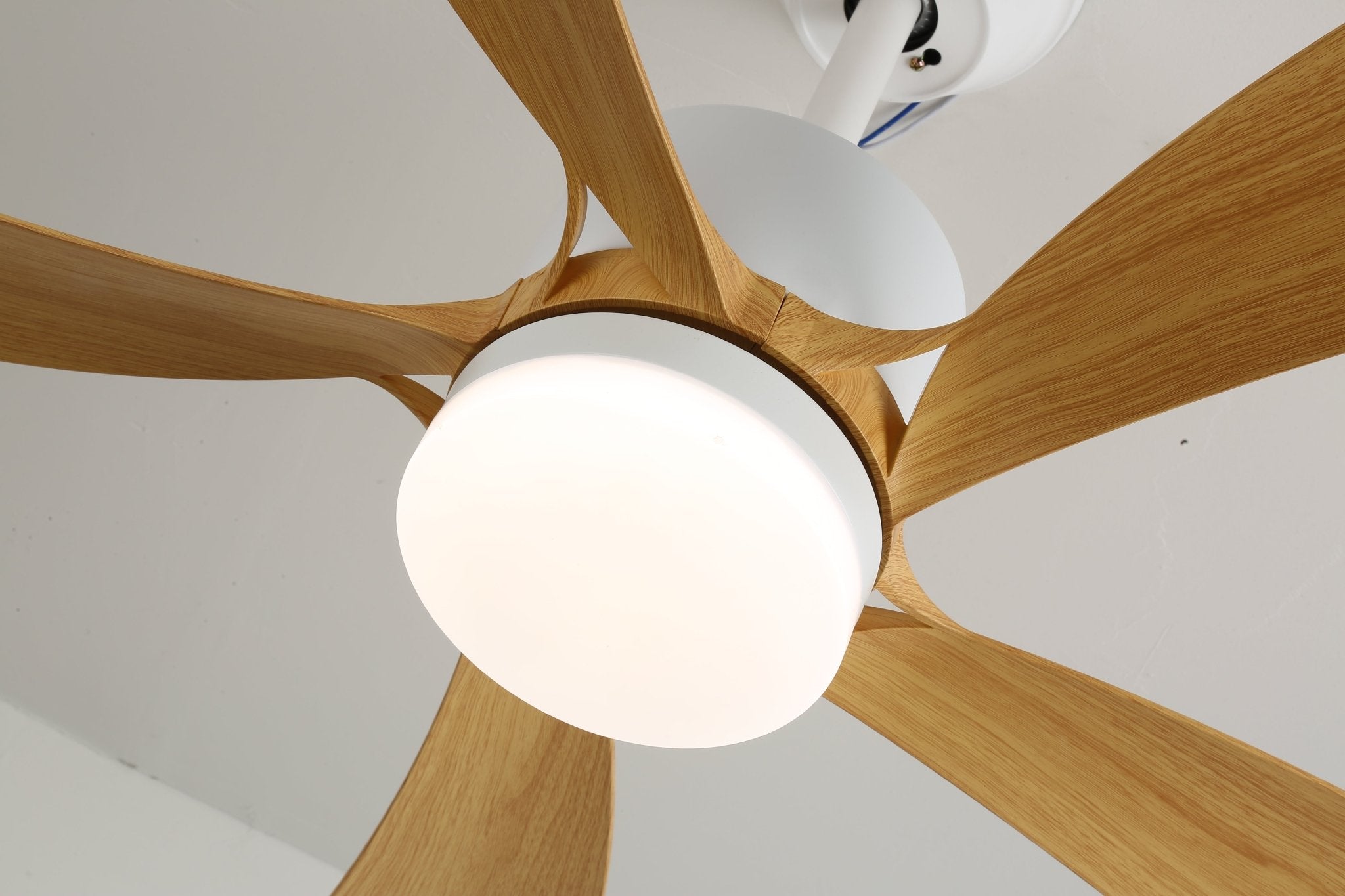 Axer Ceiling Fan Light