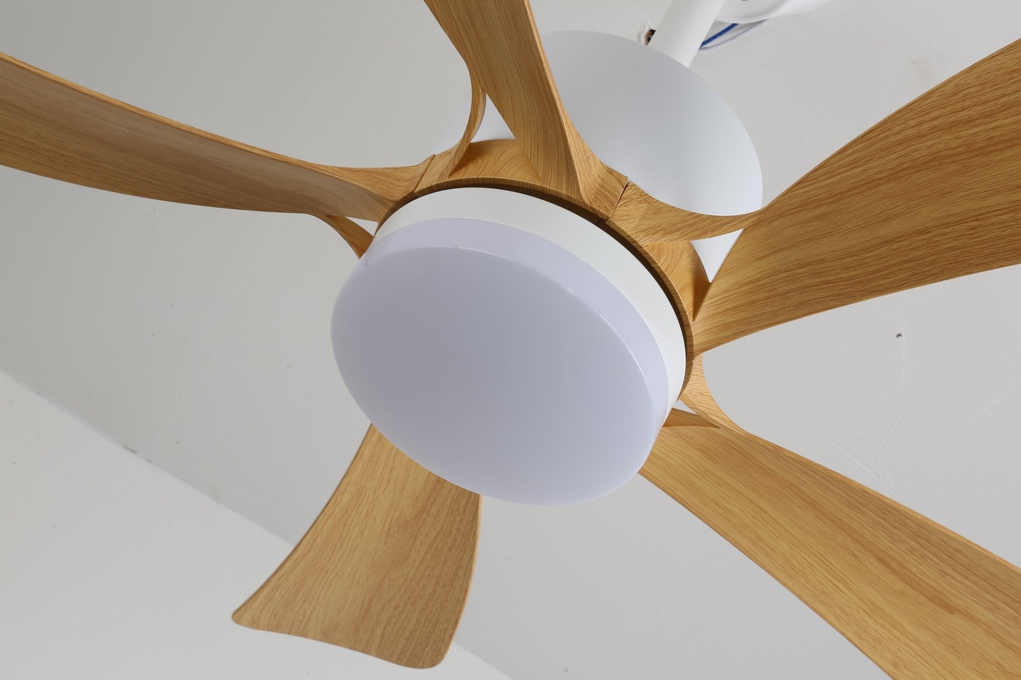 Axer Ceiling Fan Light