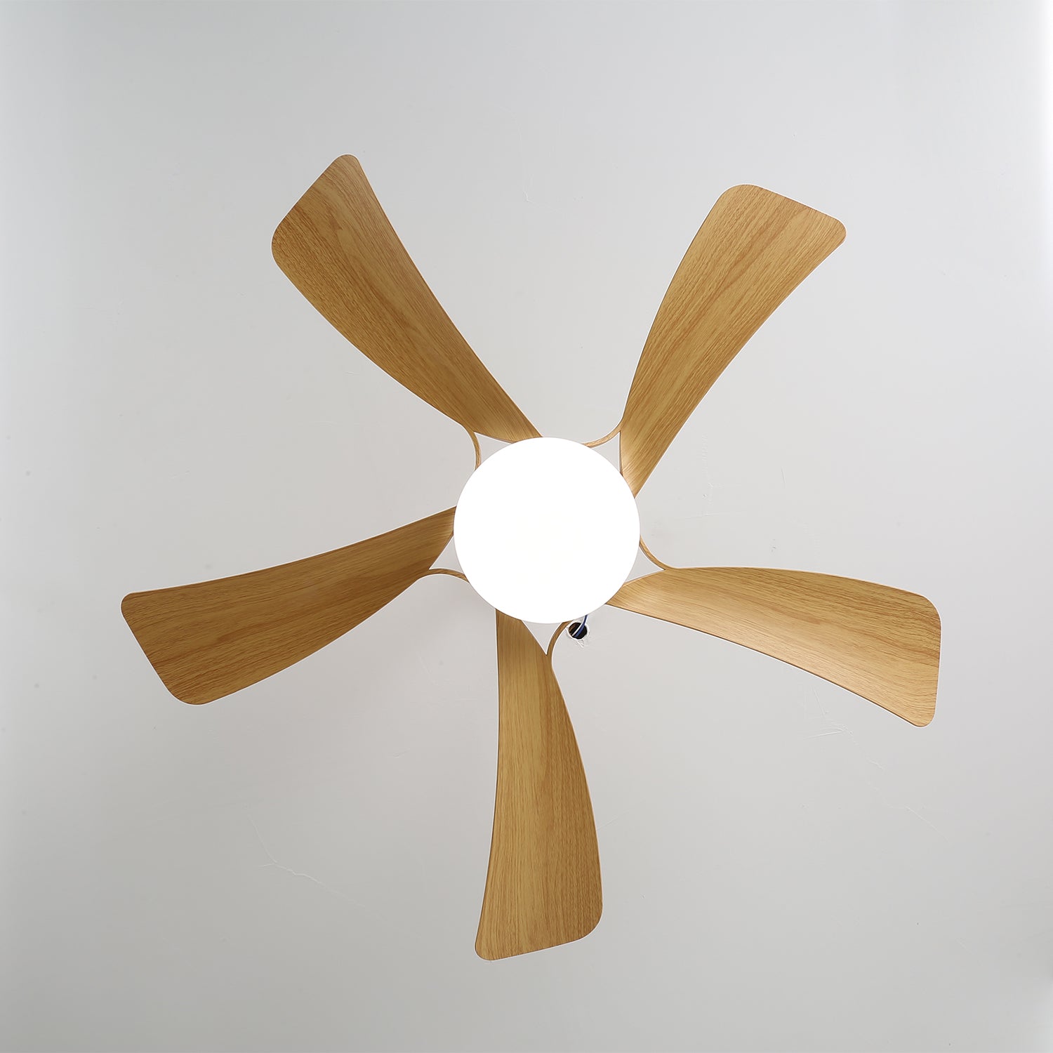 Axer Ceiling Fan Light