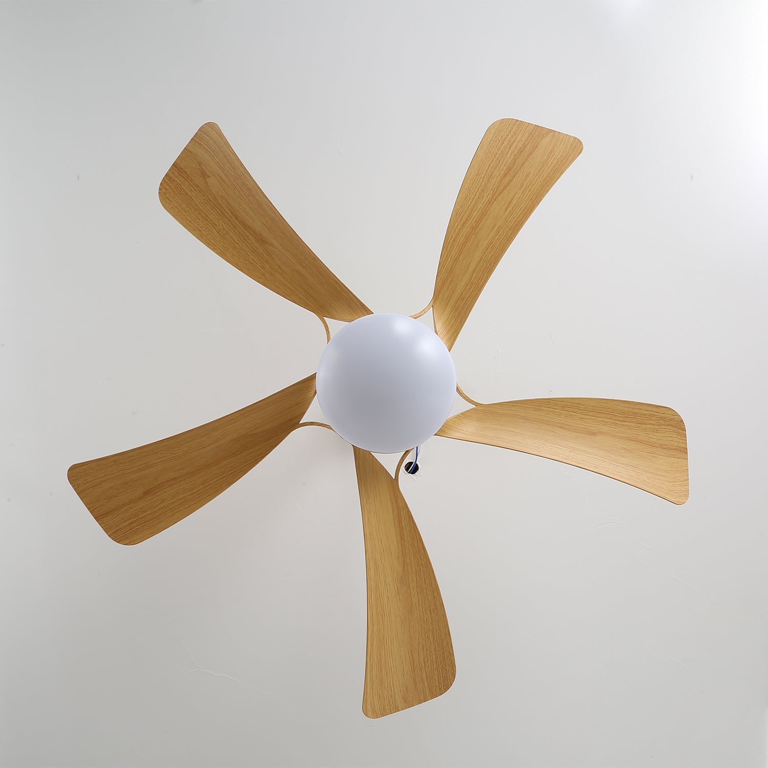 Axer Ceiling Fan Light