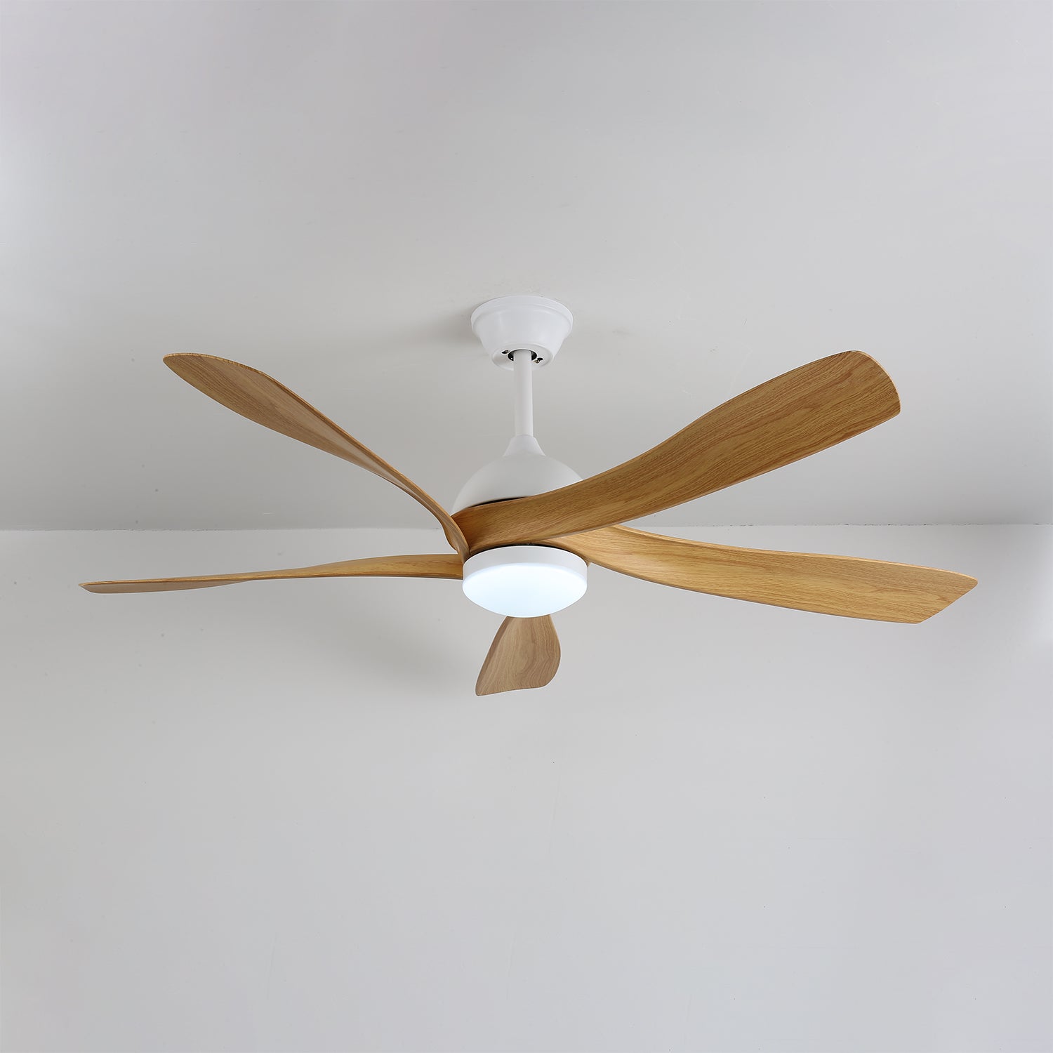 Axer Ceiling Fan Light