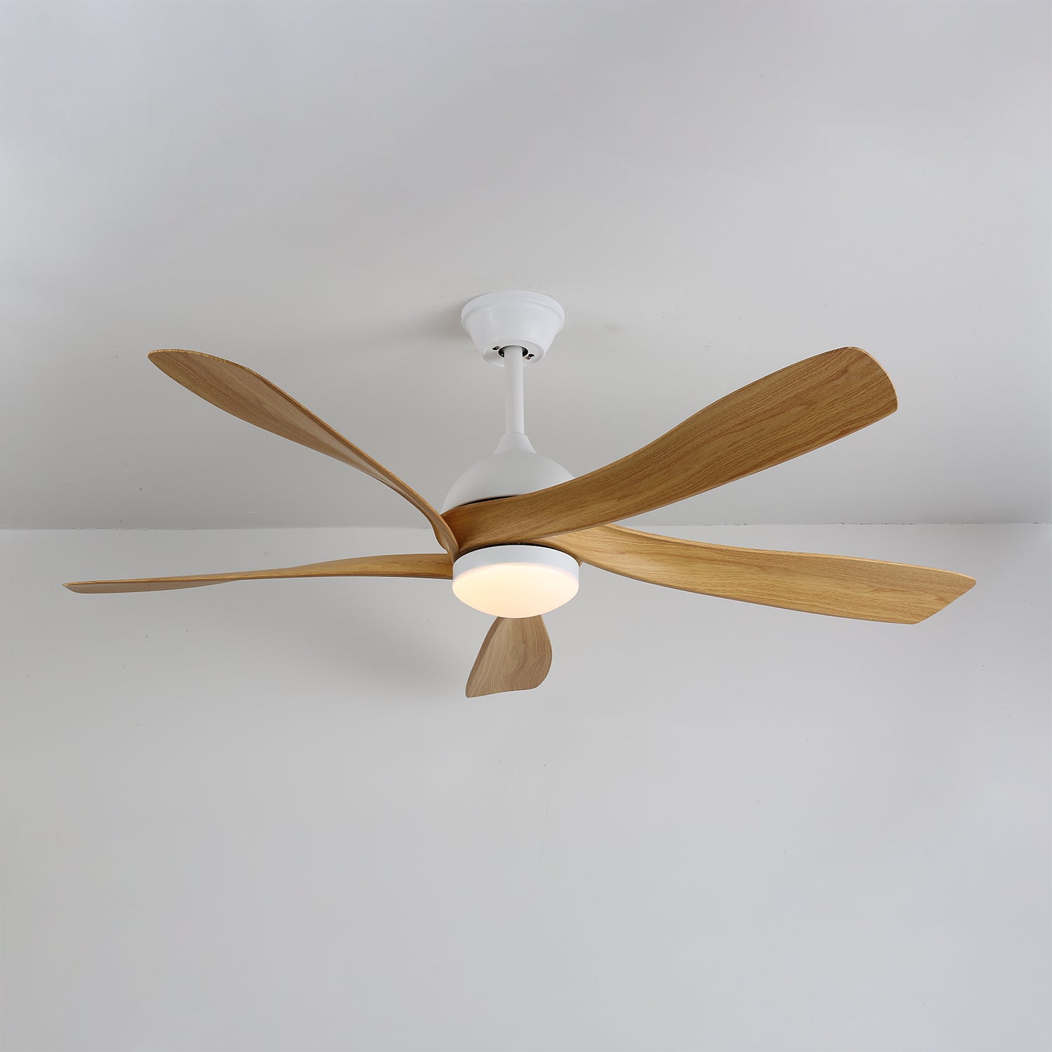 Axer Ceiling Fan Light