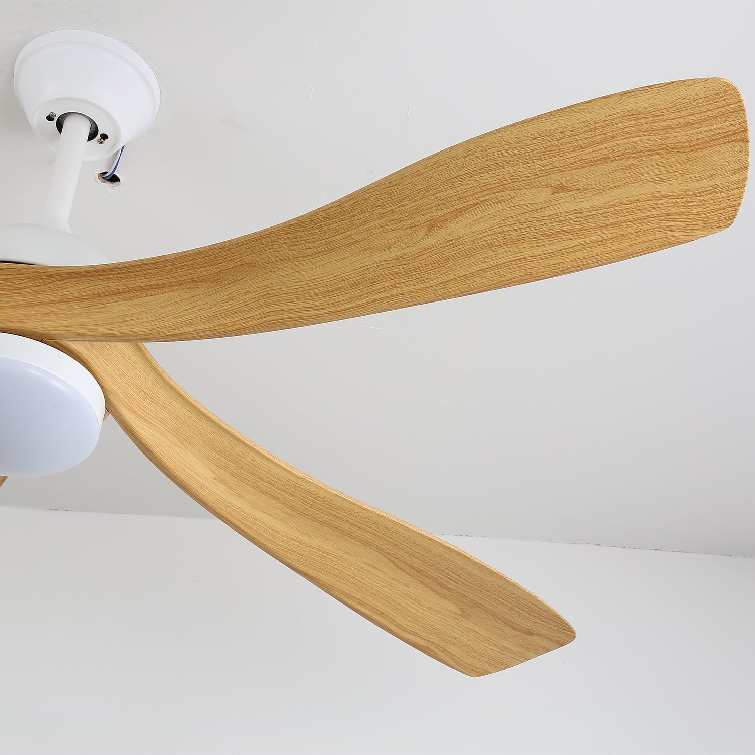 Axer Ceiling Fan Light