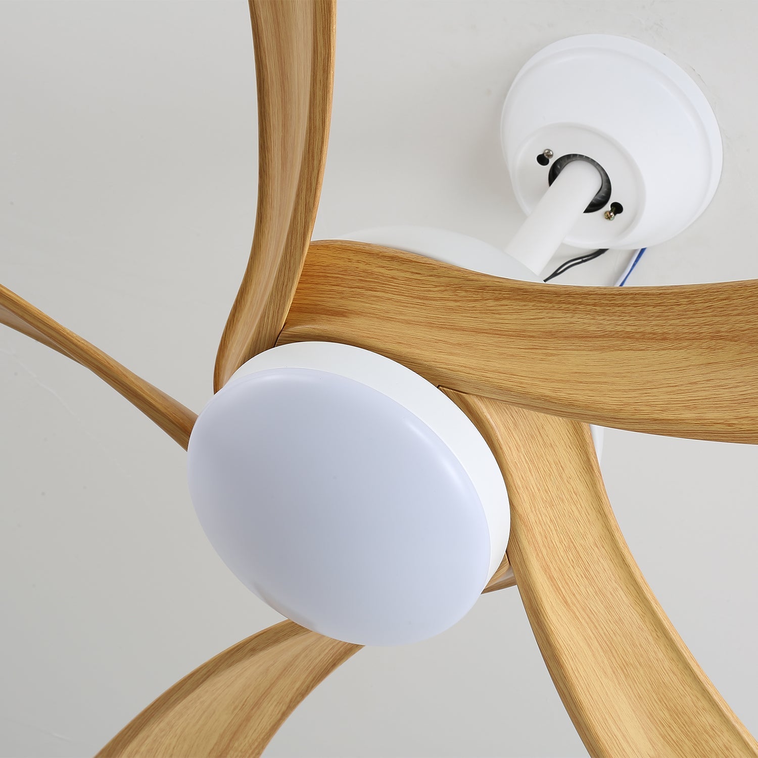 Axer Ceiling Fan Light