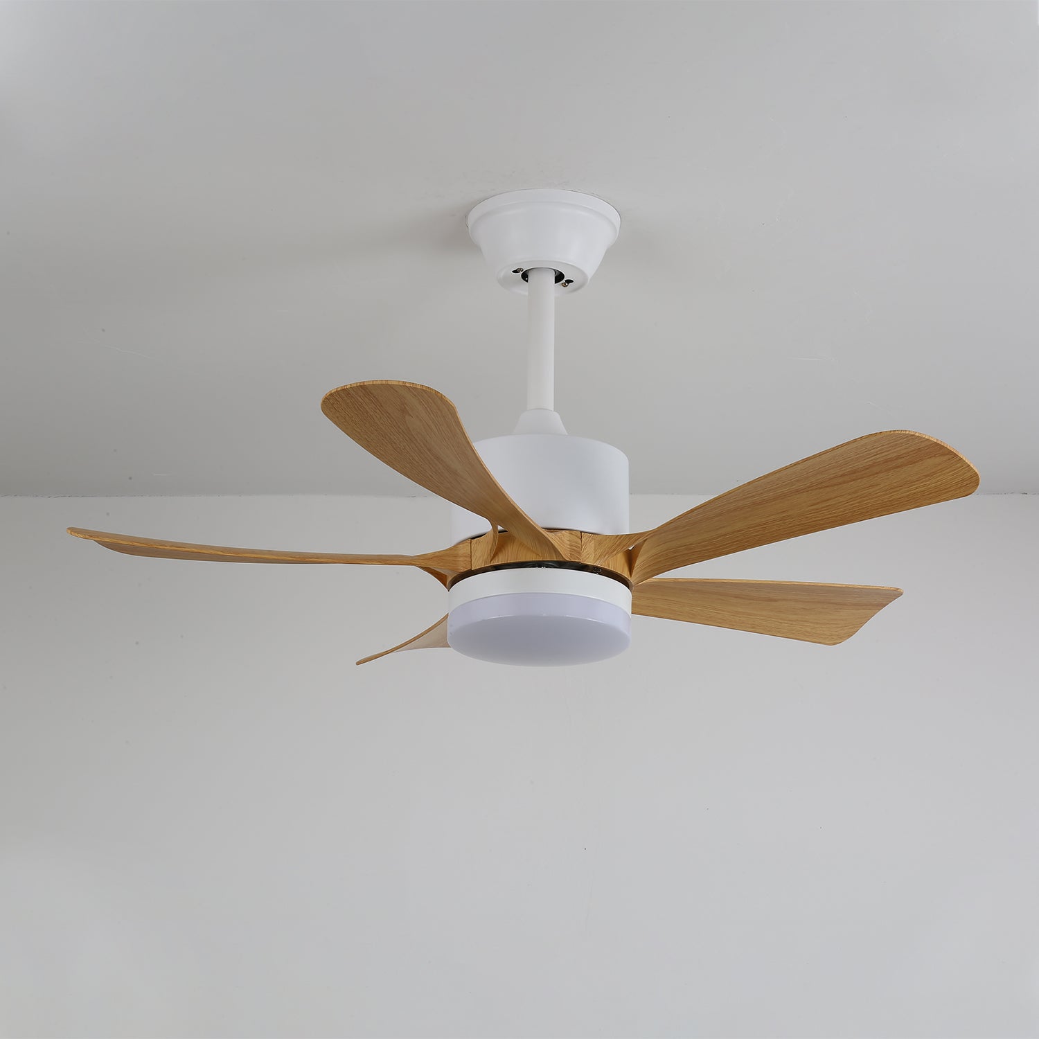 Axer Ceiling Fan Light