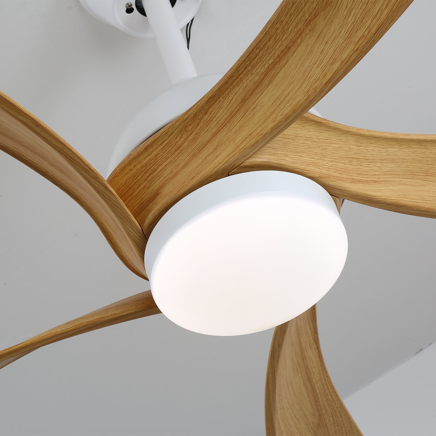 Axer Ceiling Fan Light