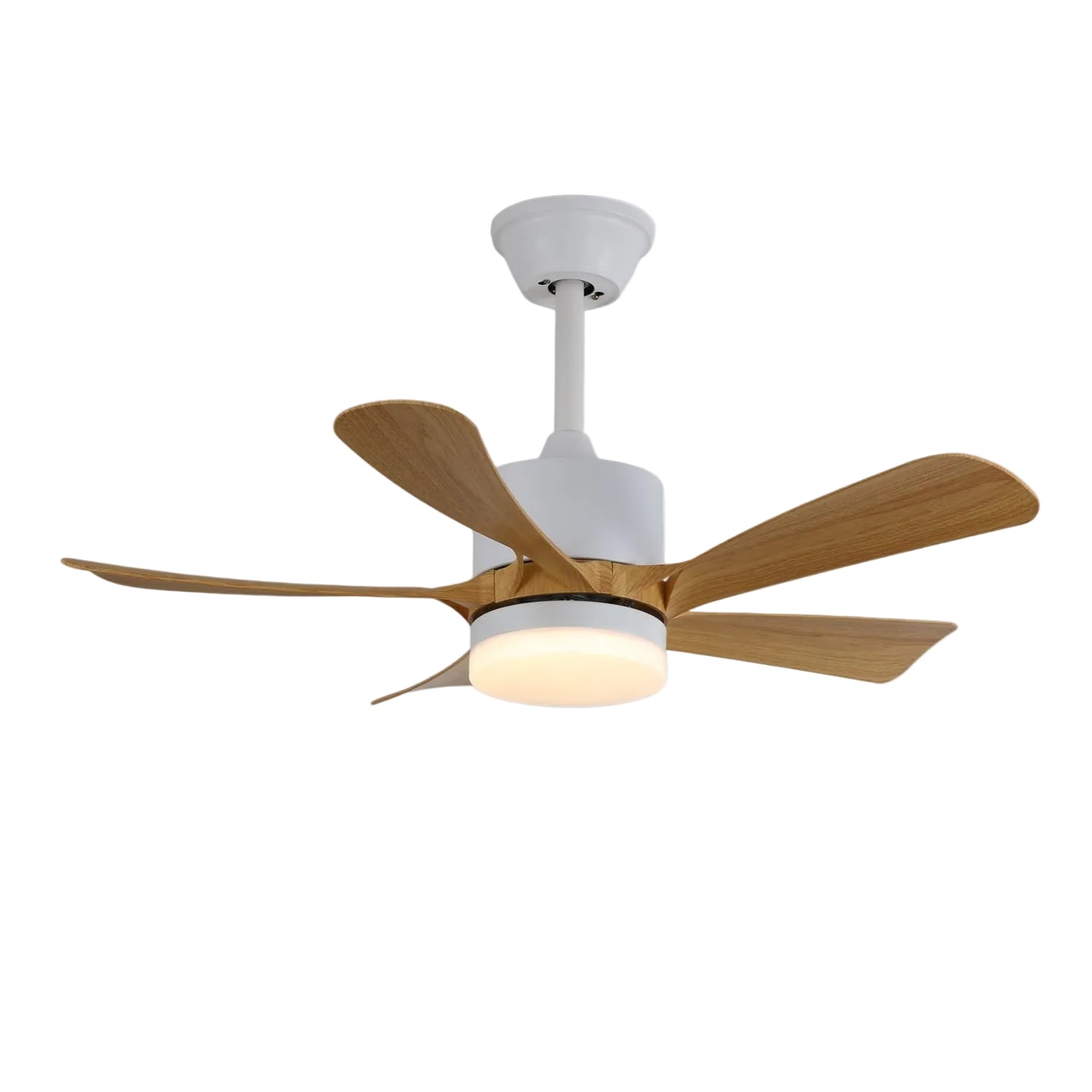 Axer Ceiling Fan Light