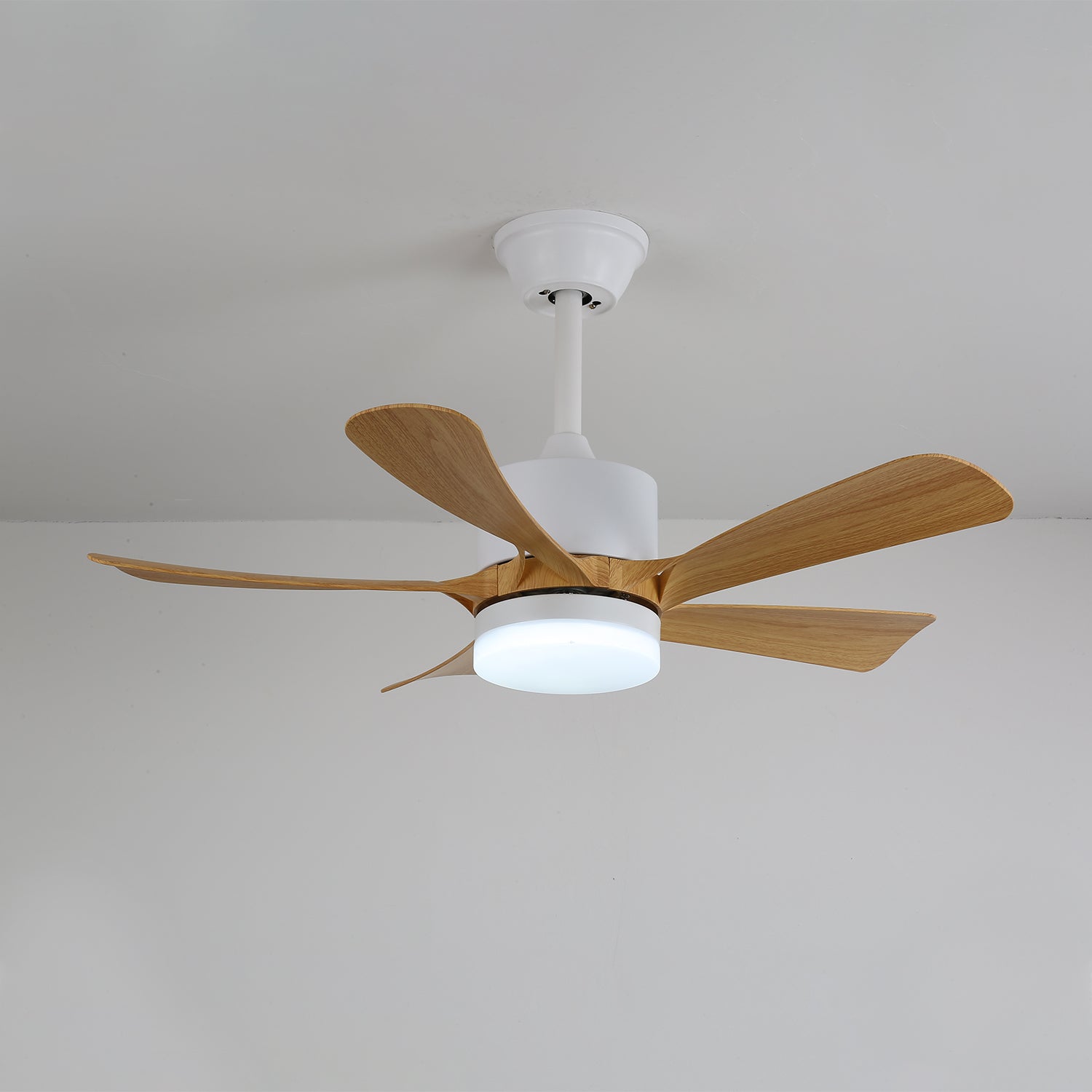 Axer Ceiling Fan Light