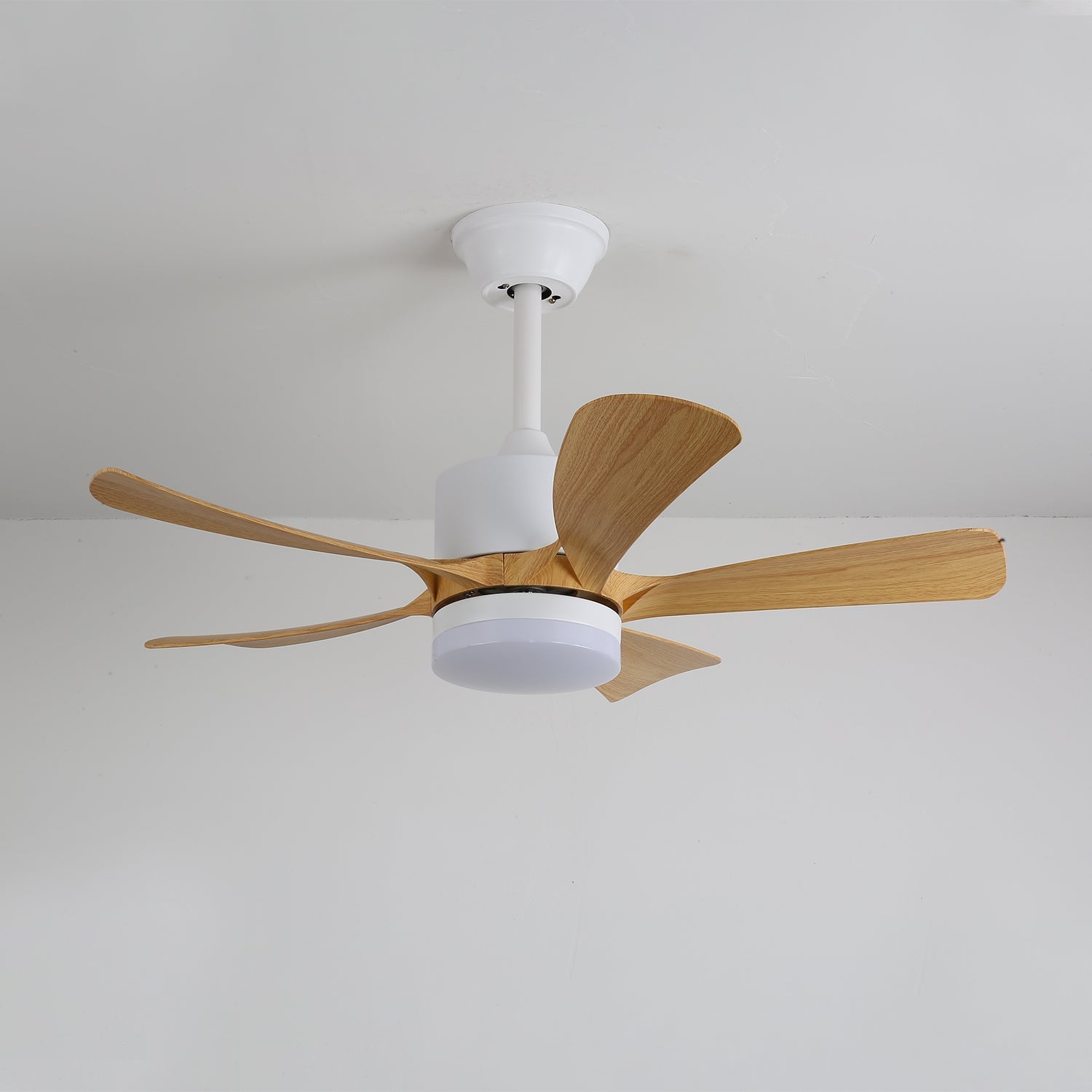 Axer Ceiling Fan Light