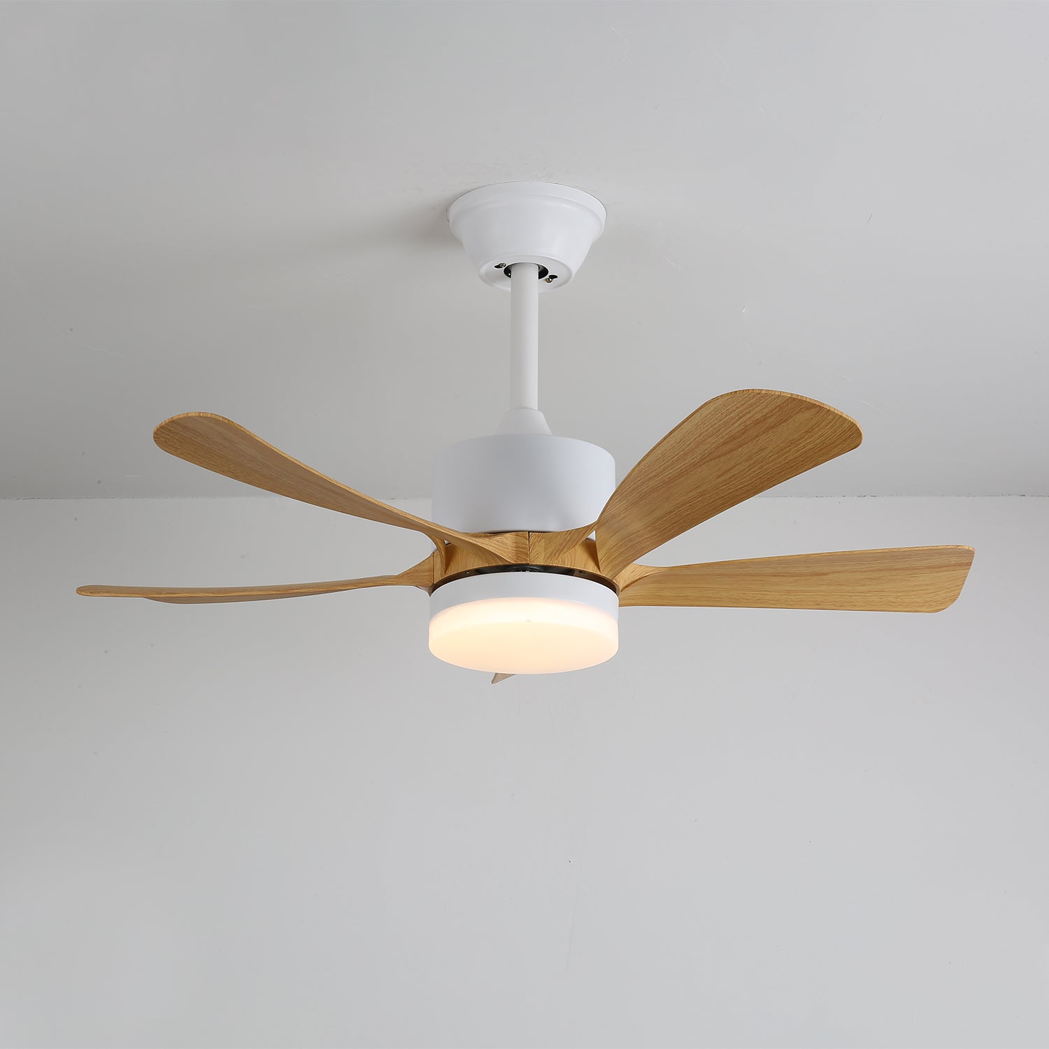 Axer Ceiling Fan Light