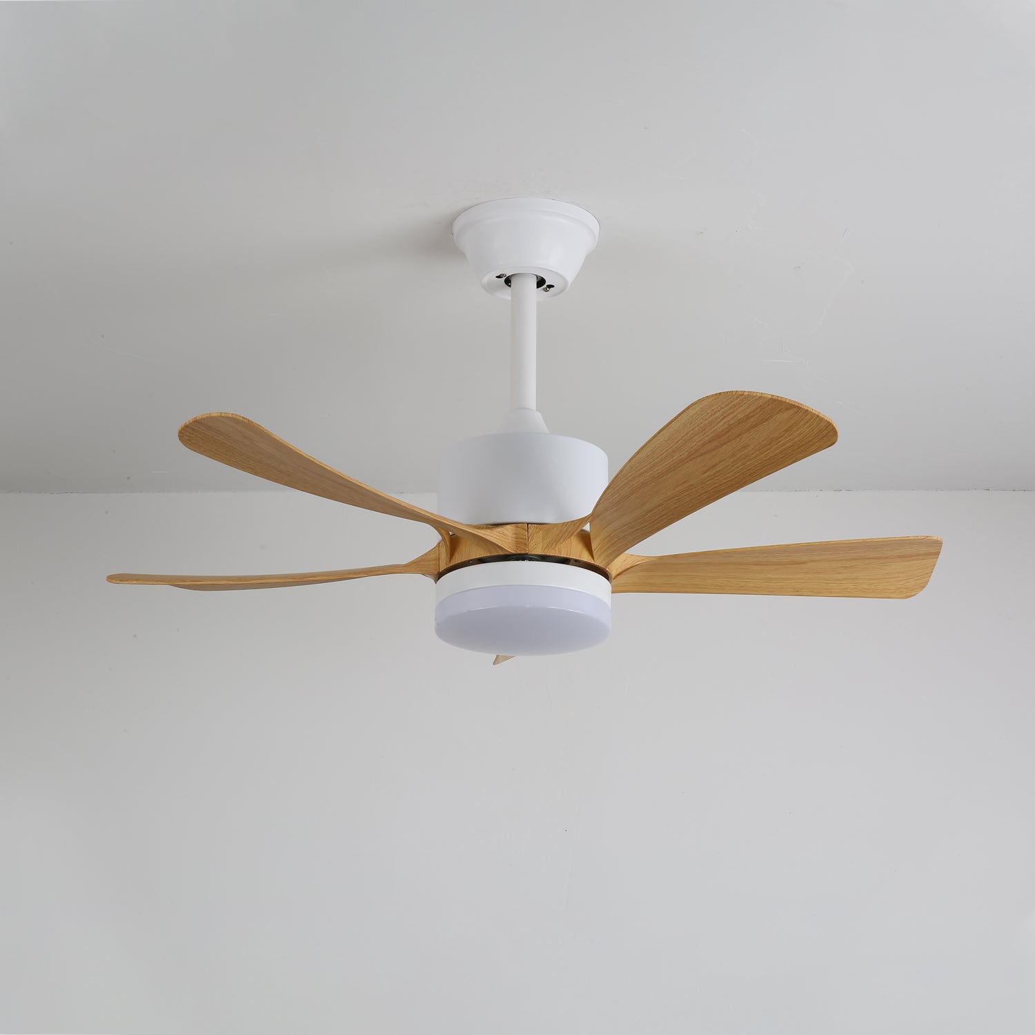 Axer Ceiling Fan Light