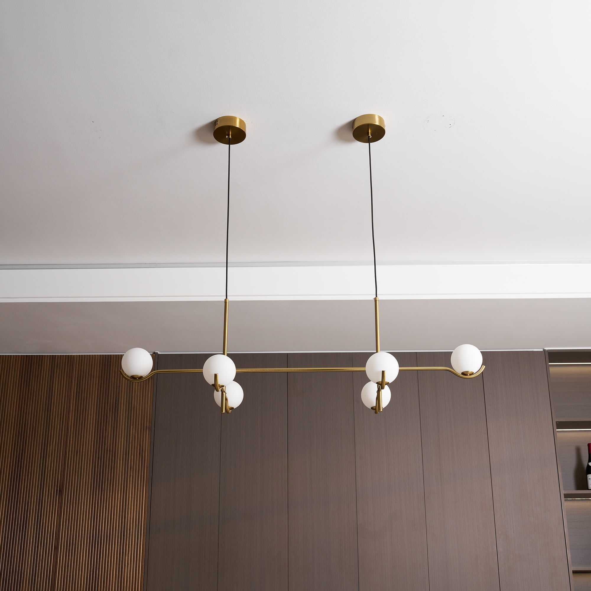 Orensonyn Globe Pendant Light