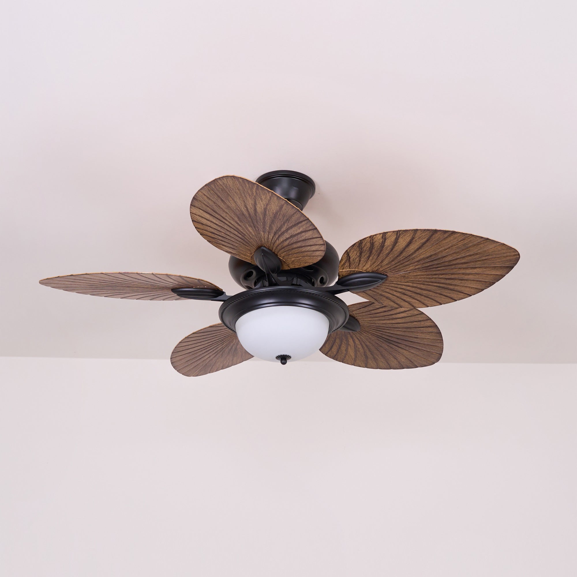 Jorlyn Ceiling Fan Light