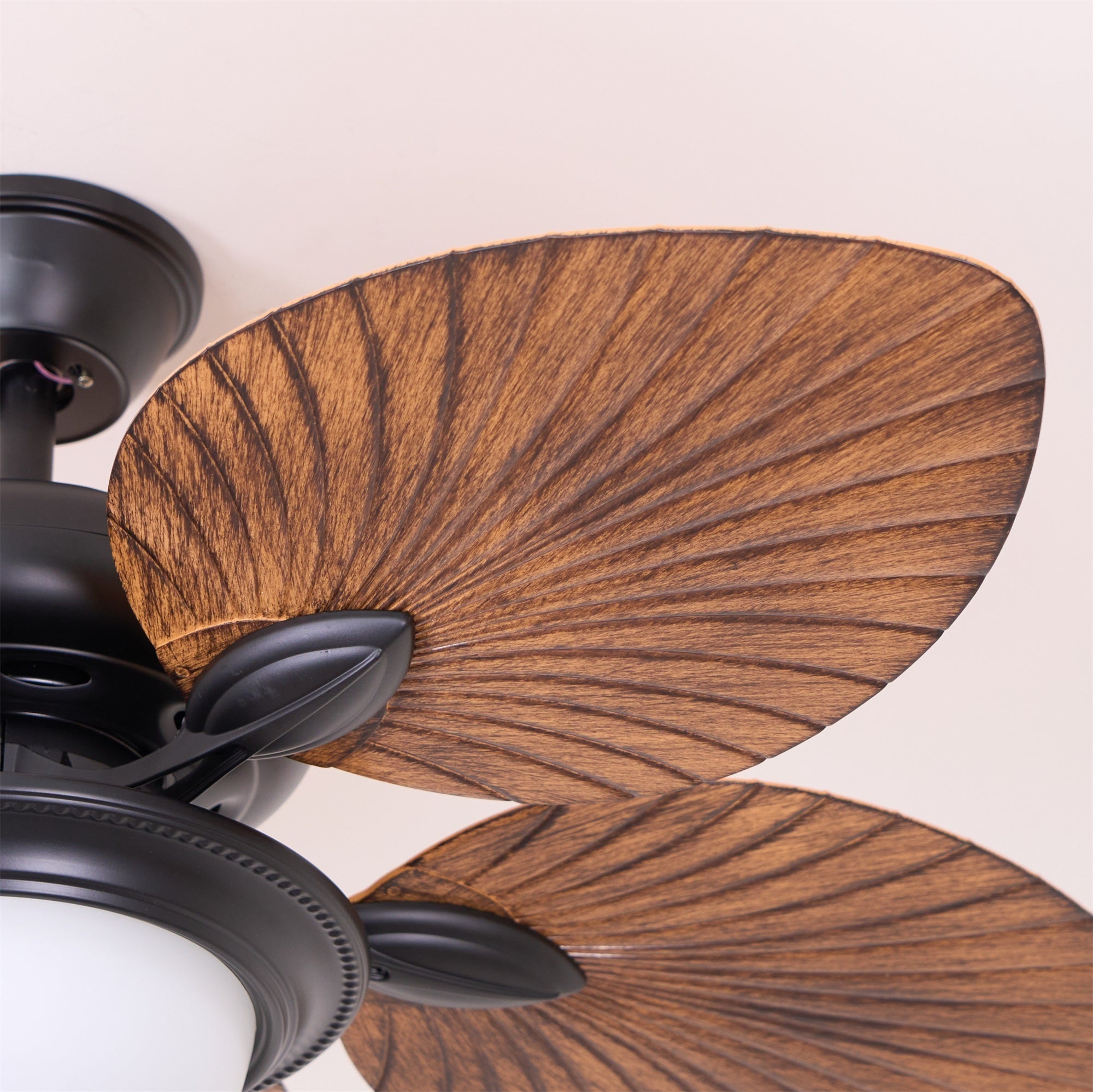 Jorlyn Ceiling Fan Light