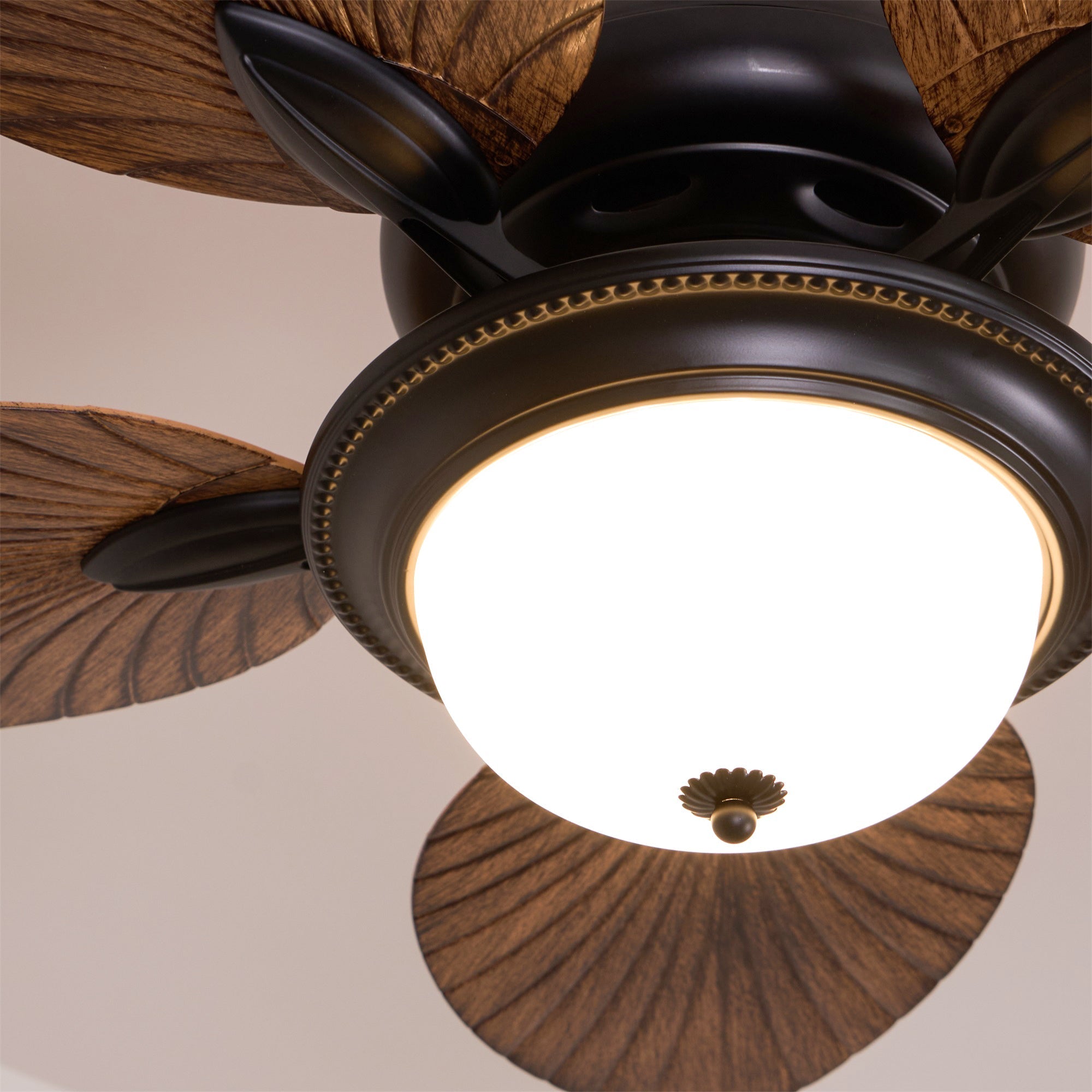Jorlyn Ceiling Fan Light
