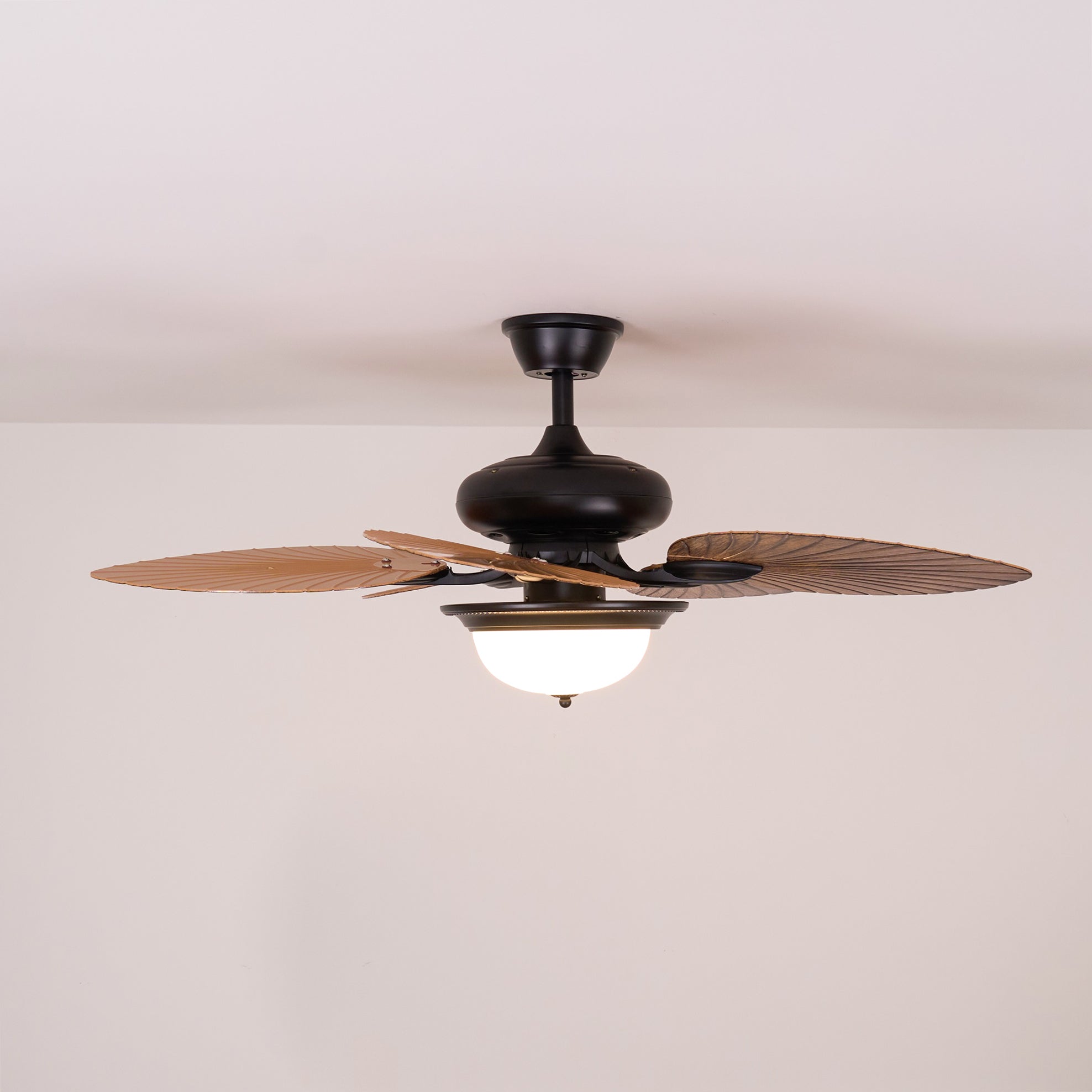 Jorlyn Ceiling Fan Light