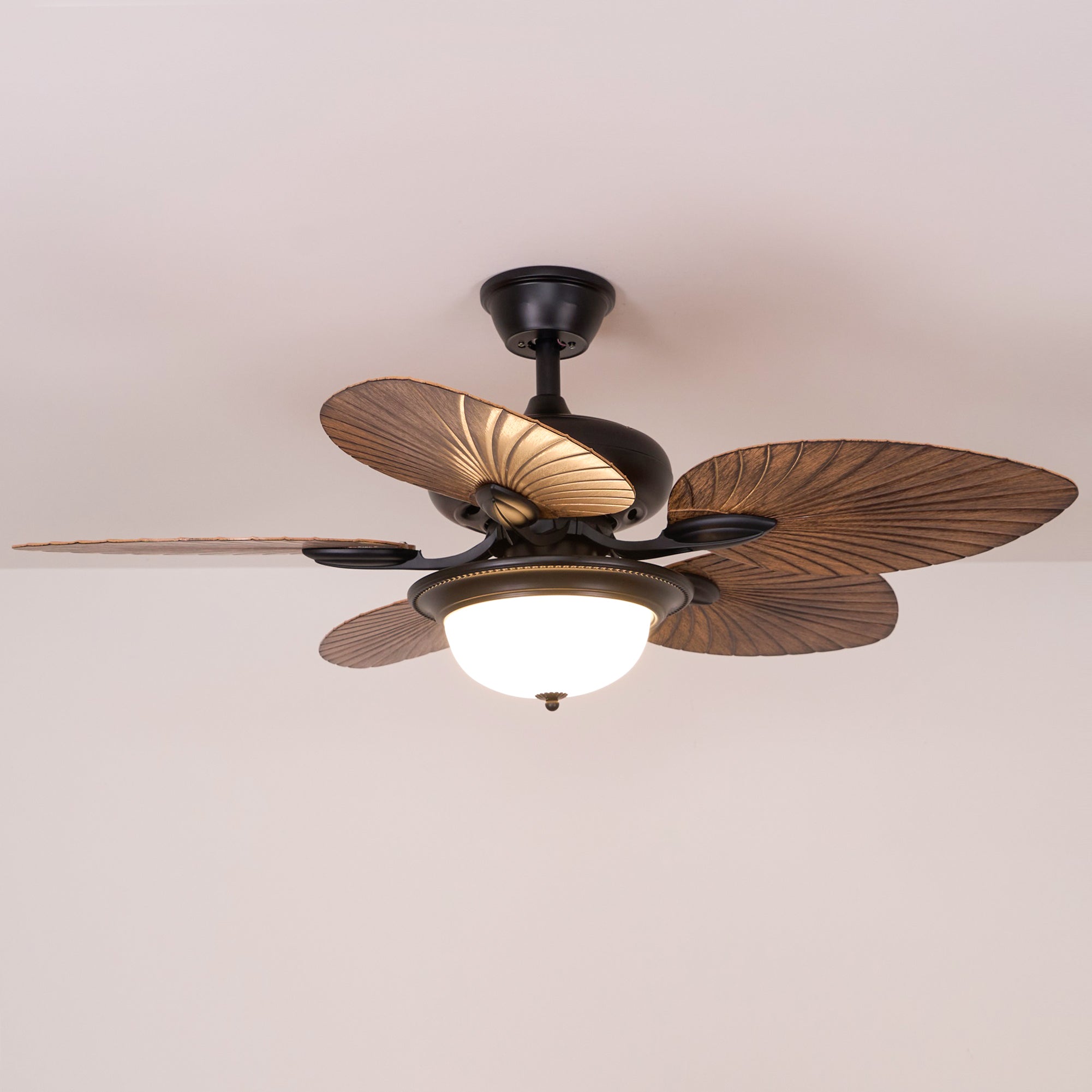 Jorlyn Ceiling Fan Light