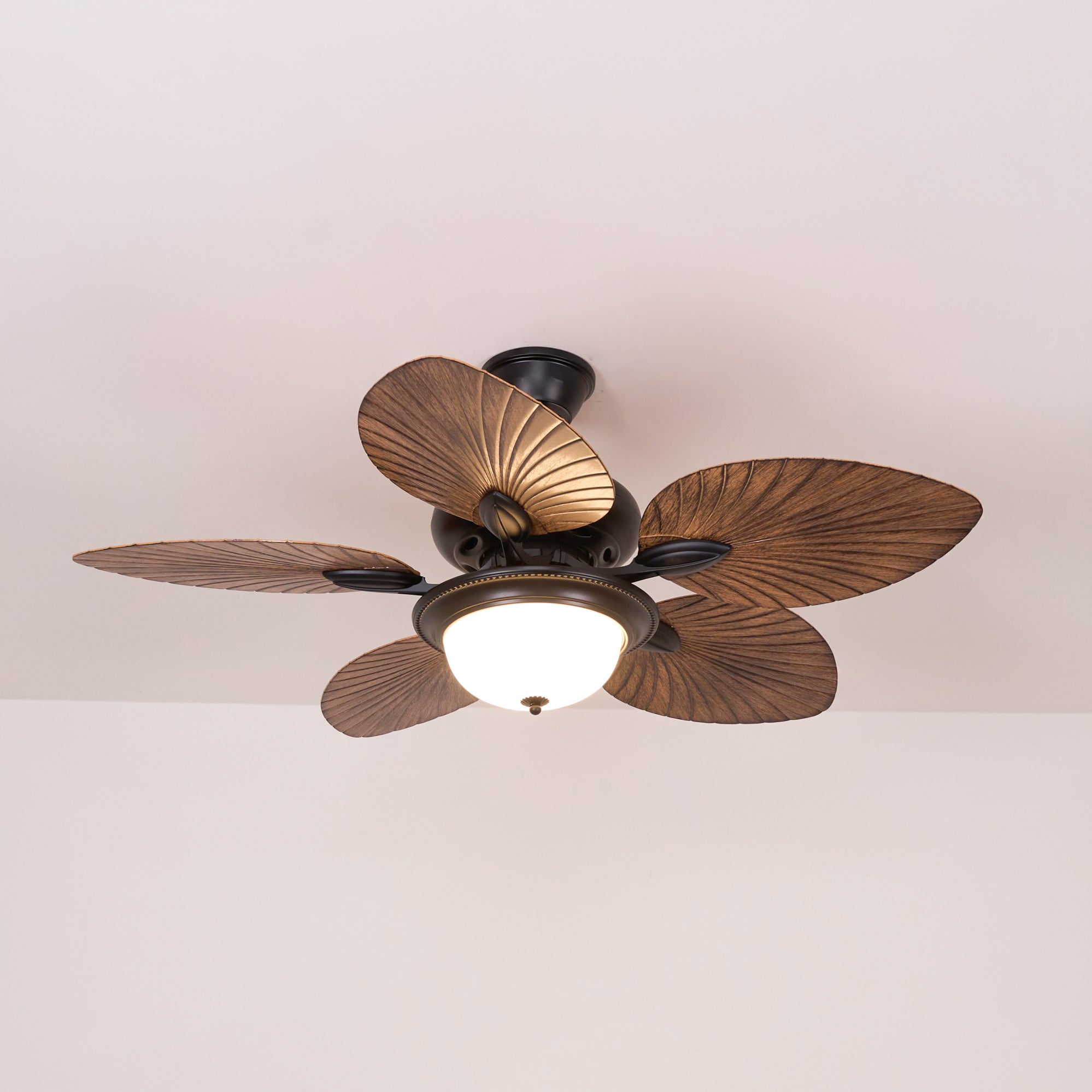 Jorlyn Ceiling Fan Light