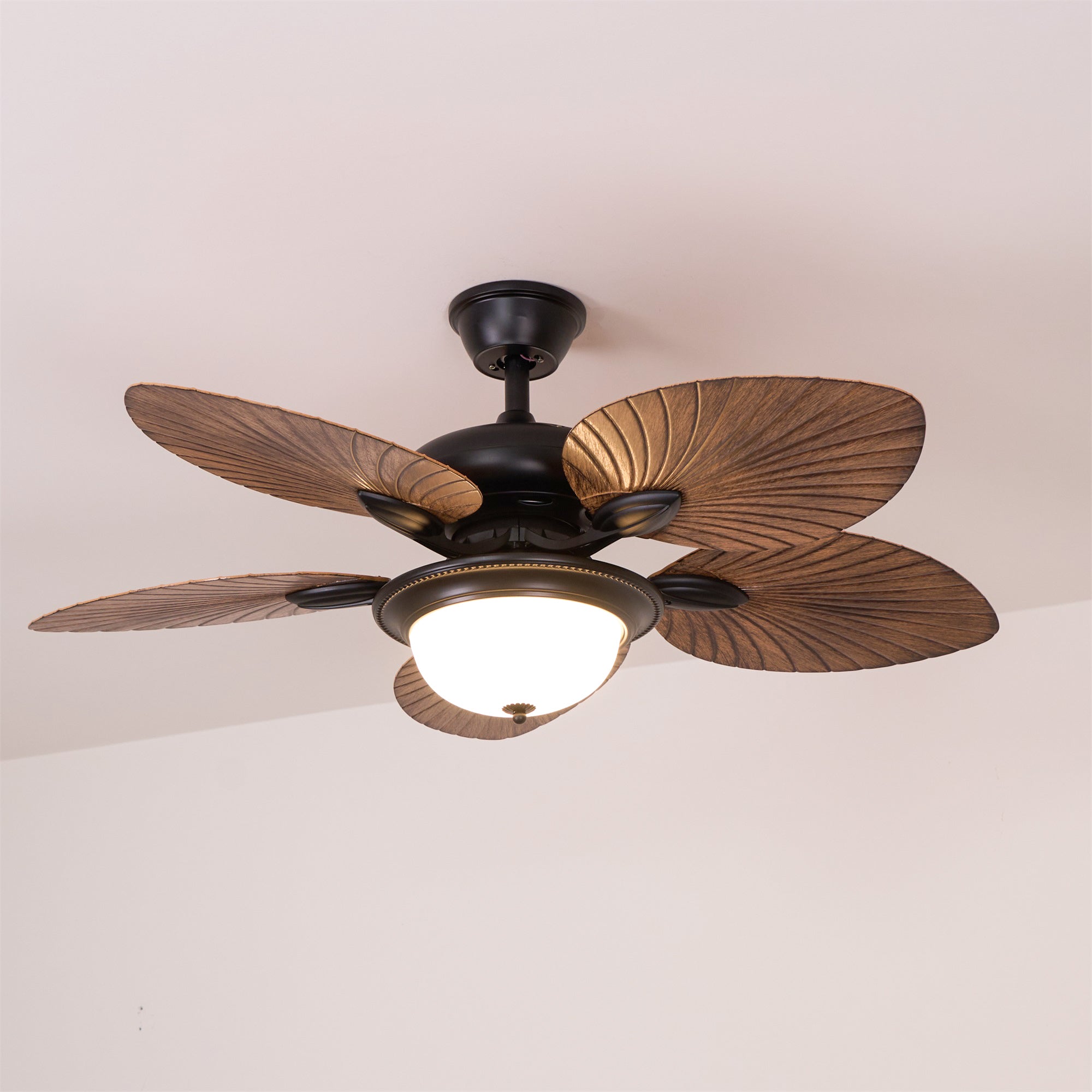 Jorlyn Ceiling Fan Light