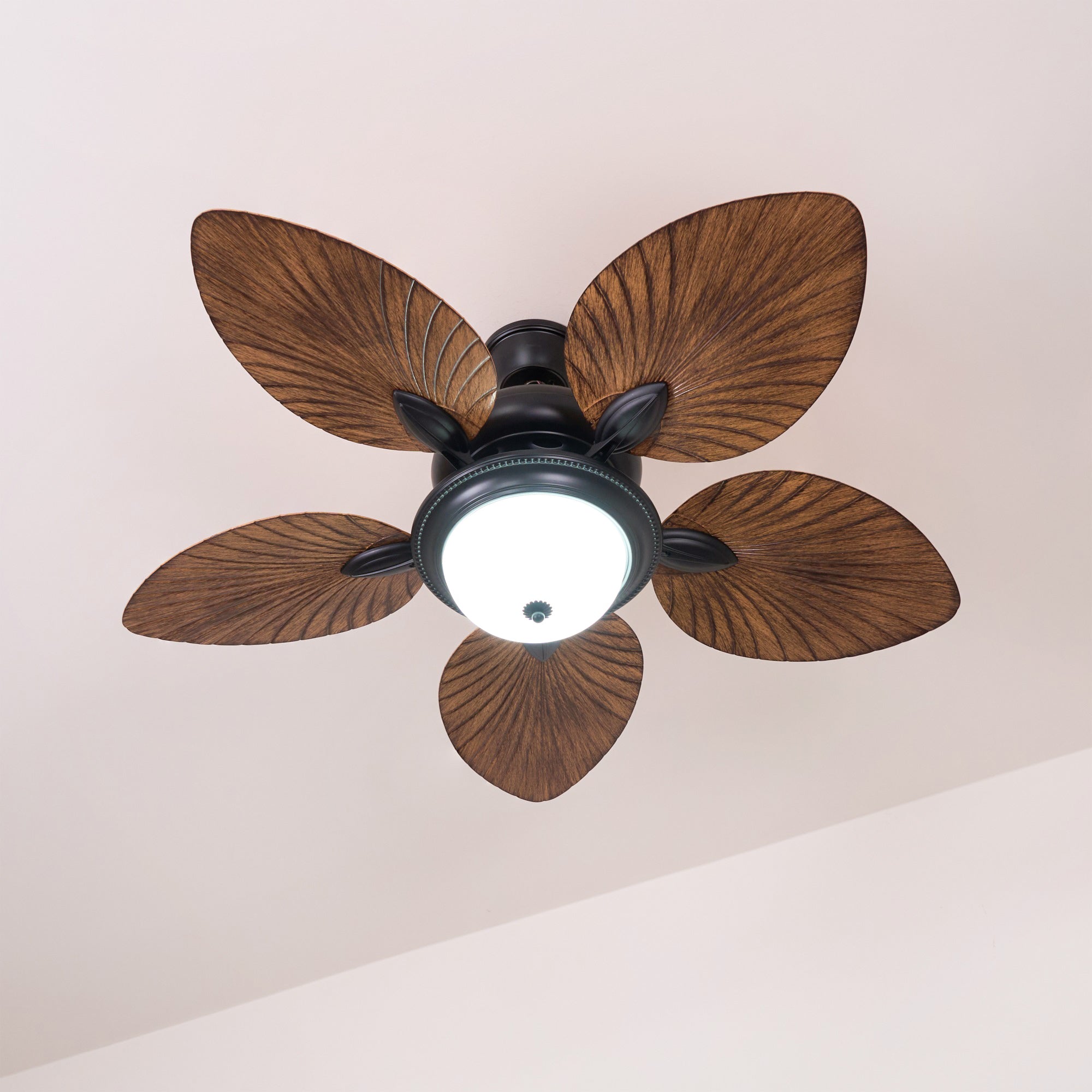 Jorlyn Ceiling Fan Light