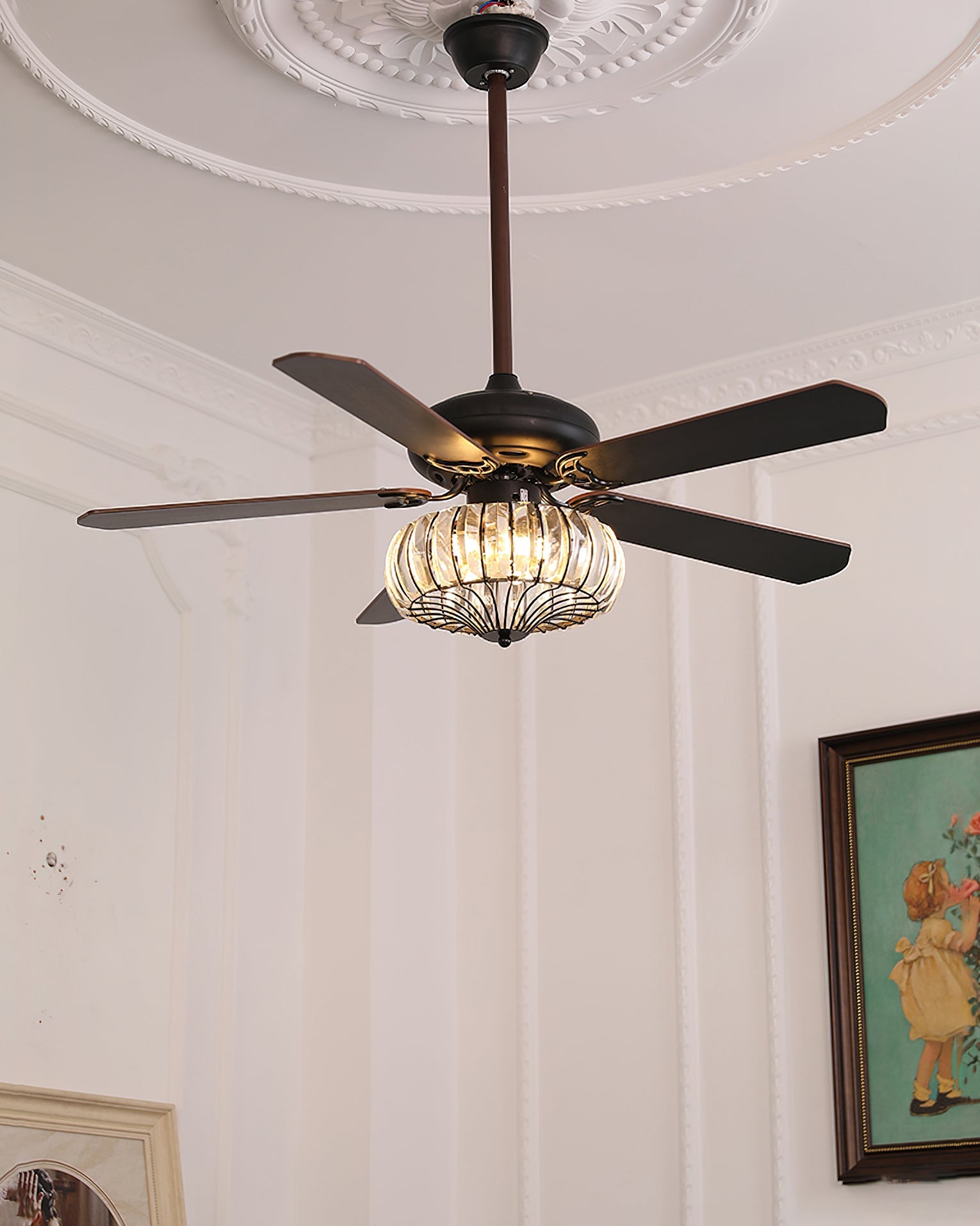 Evro Ceiling Fan Light