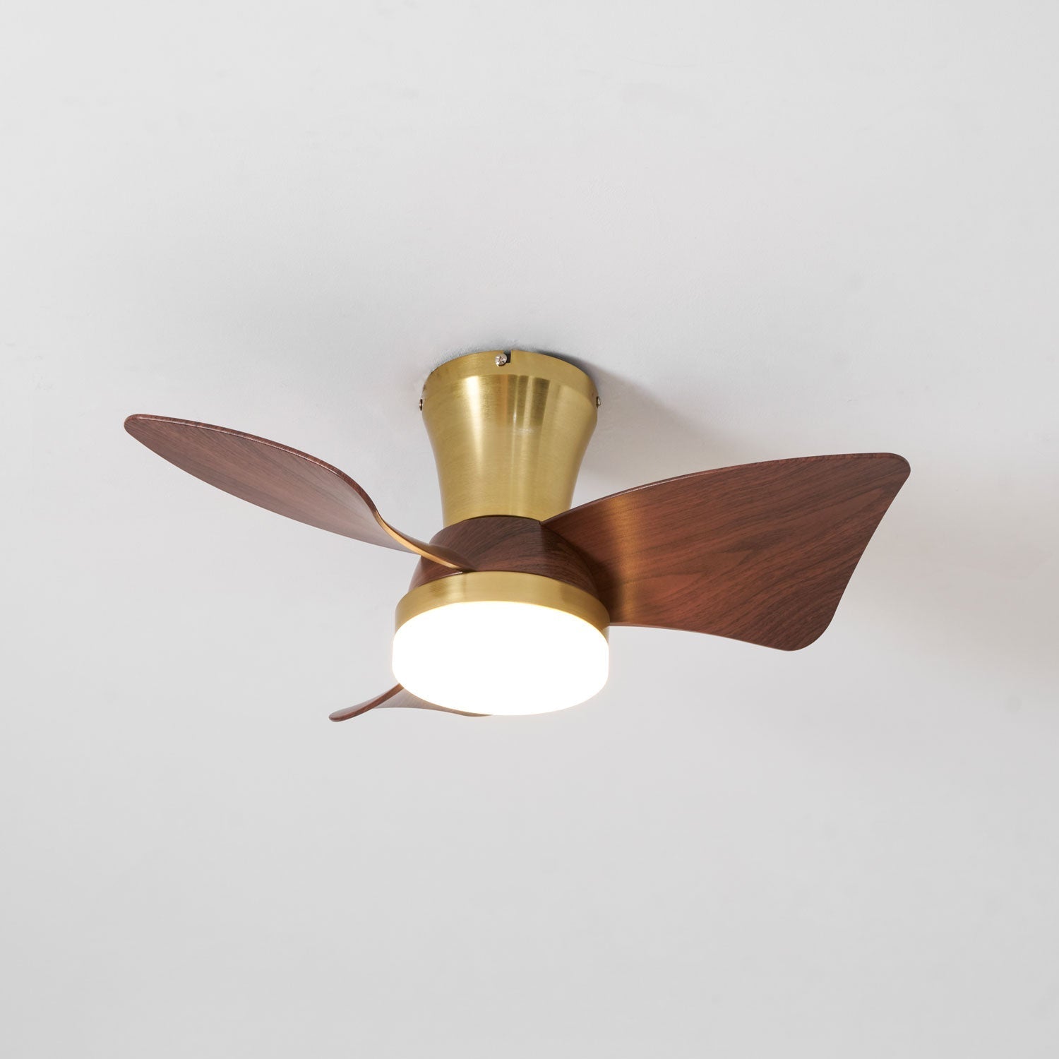 Elia LED Ceiling Fan Light