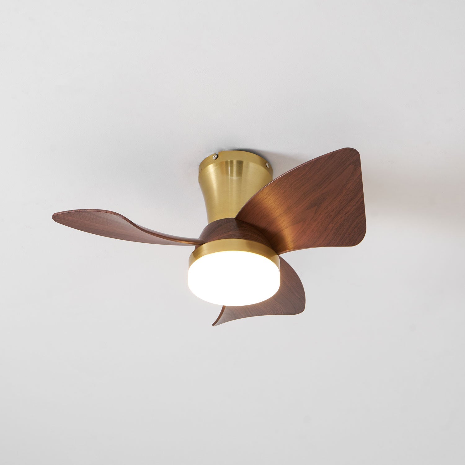 Elia LED Ceiling Fan Light