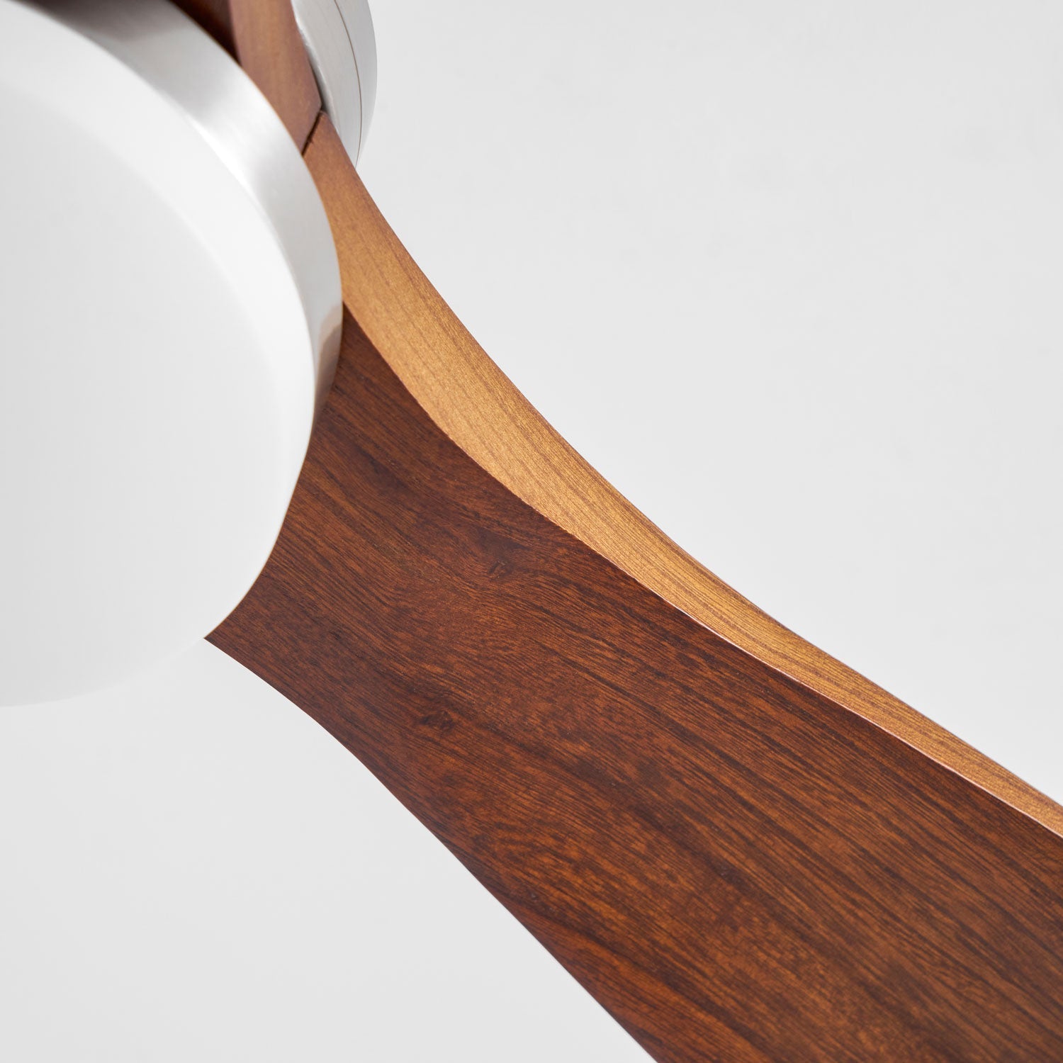 Camey Ceiling Fan Light