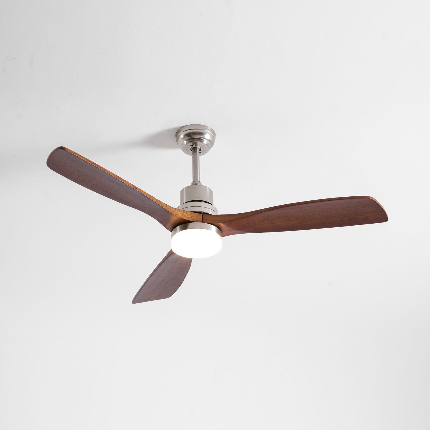 Camey Ceiling Fan Light